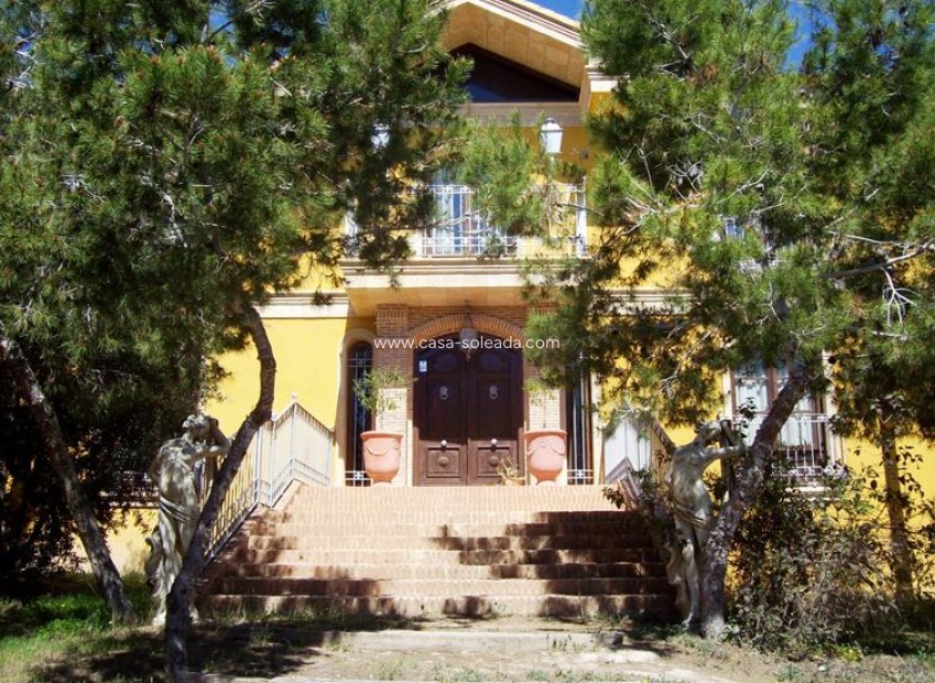 Wiederverkauf - Country Property/Finca - Ciudad Quesada - Lo Pepin