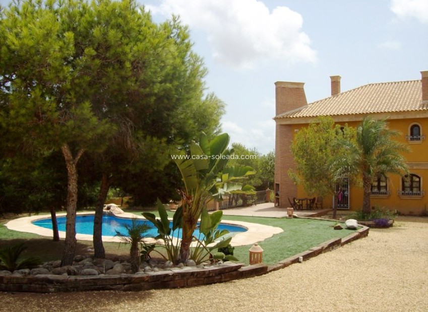 Wiederverkauf - Country Property/Finca - Ciudad Quesada - Lo Pepin