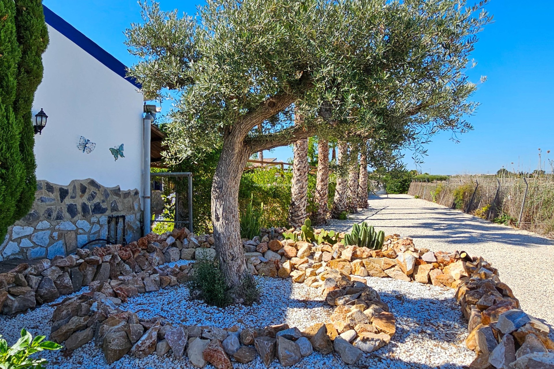 Wiederverkauf - Country Property/Finca - Crevillente - Inland
