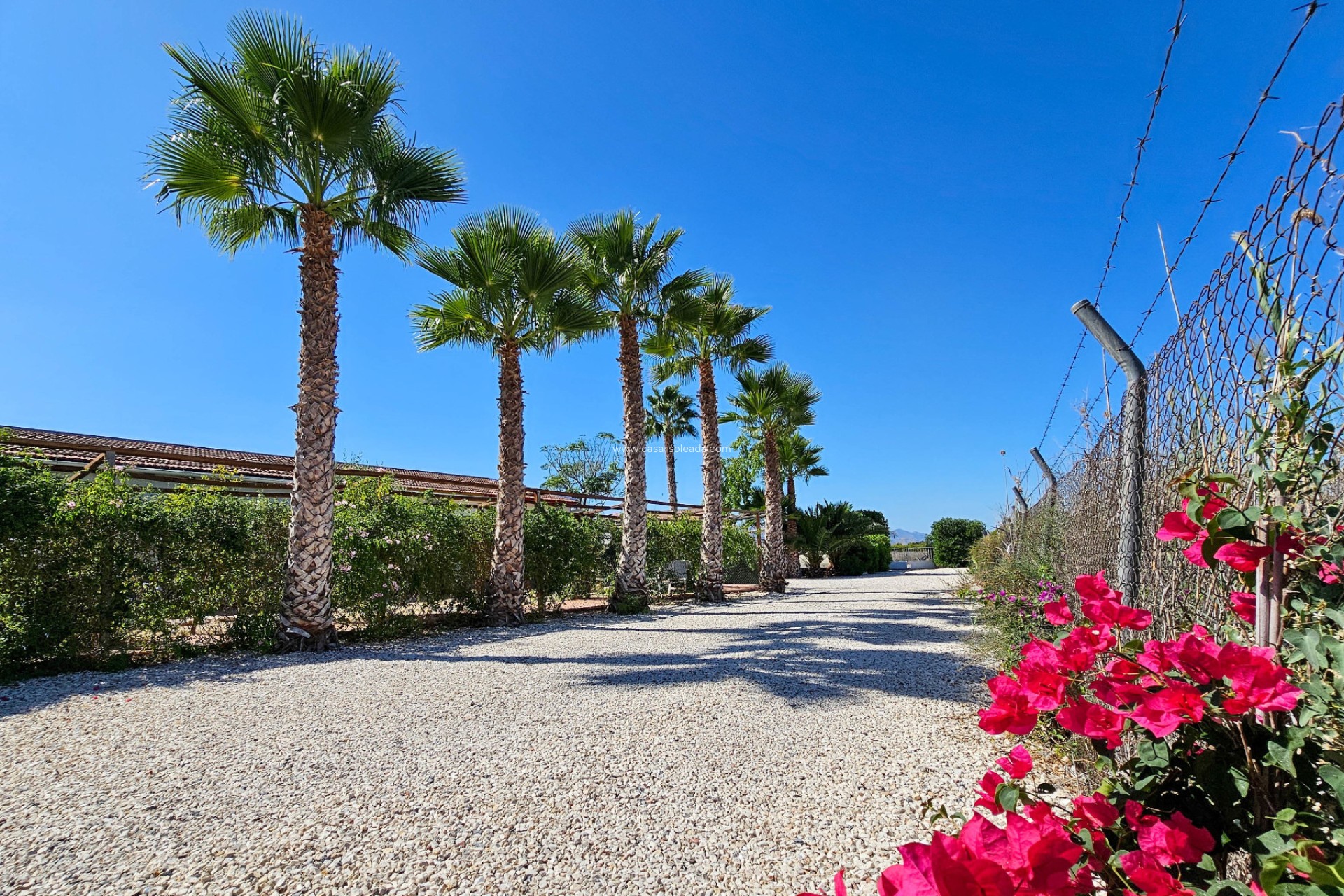 Wiederverkauf - Country Property/Finca - Crevillente - Inland