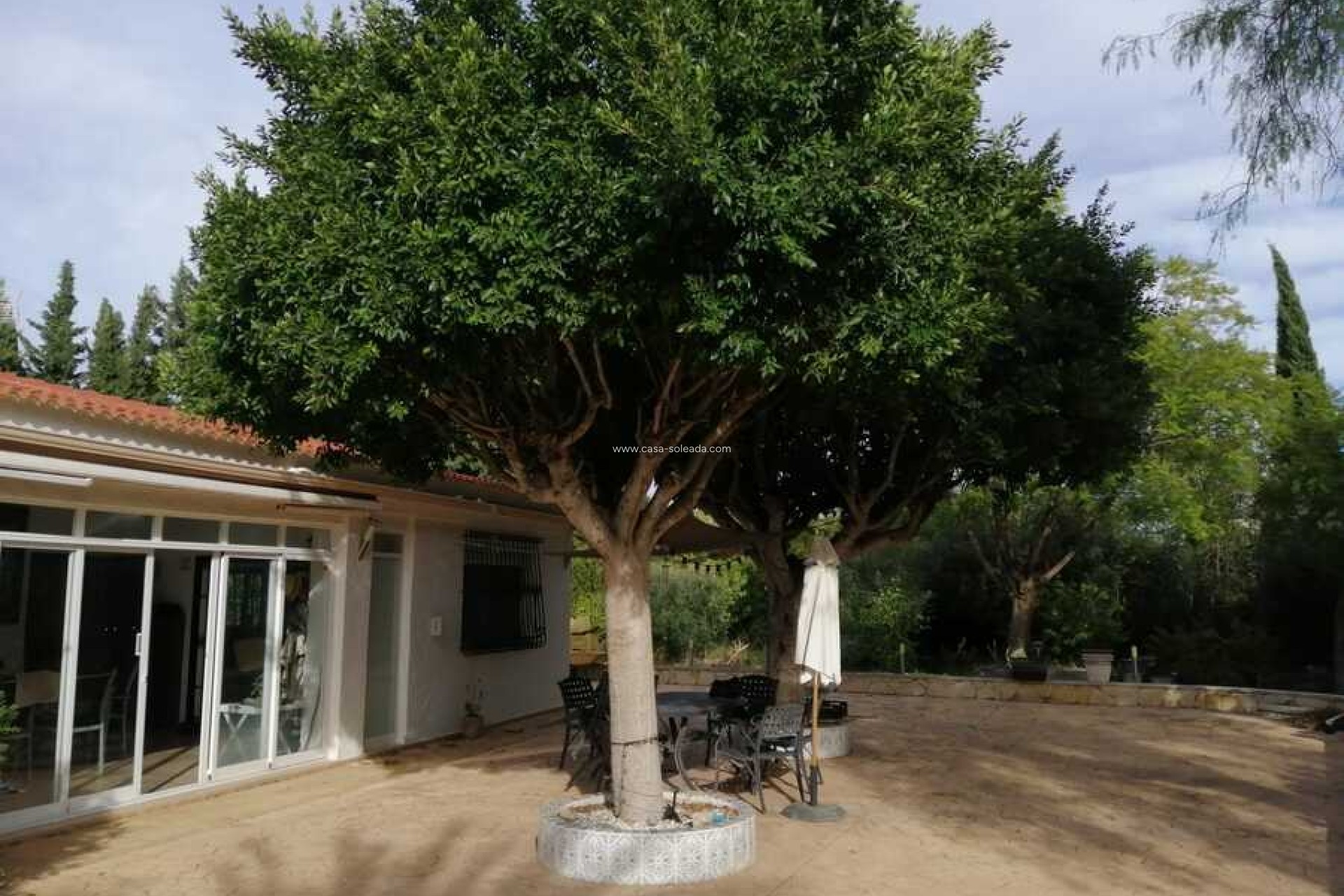 Wiederverkauf - Country Property/Finca - Crevillente - Inland