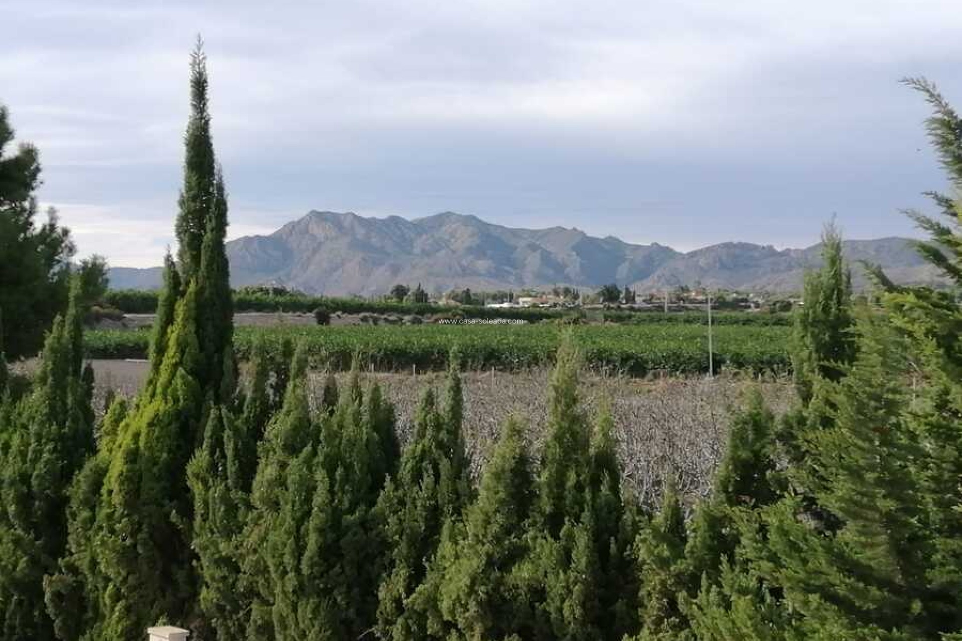 Wiederverkauf - Country Property/Finca - Crevillente - Inland