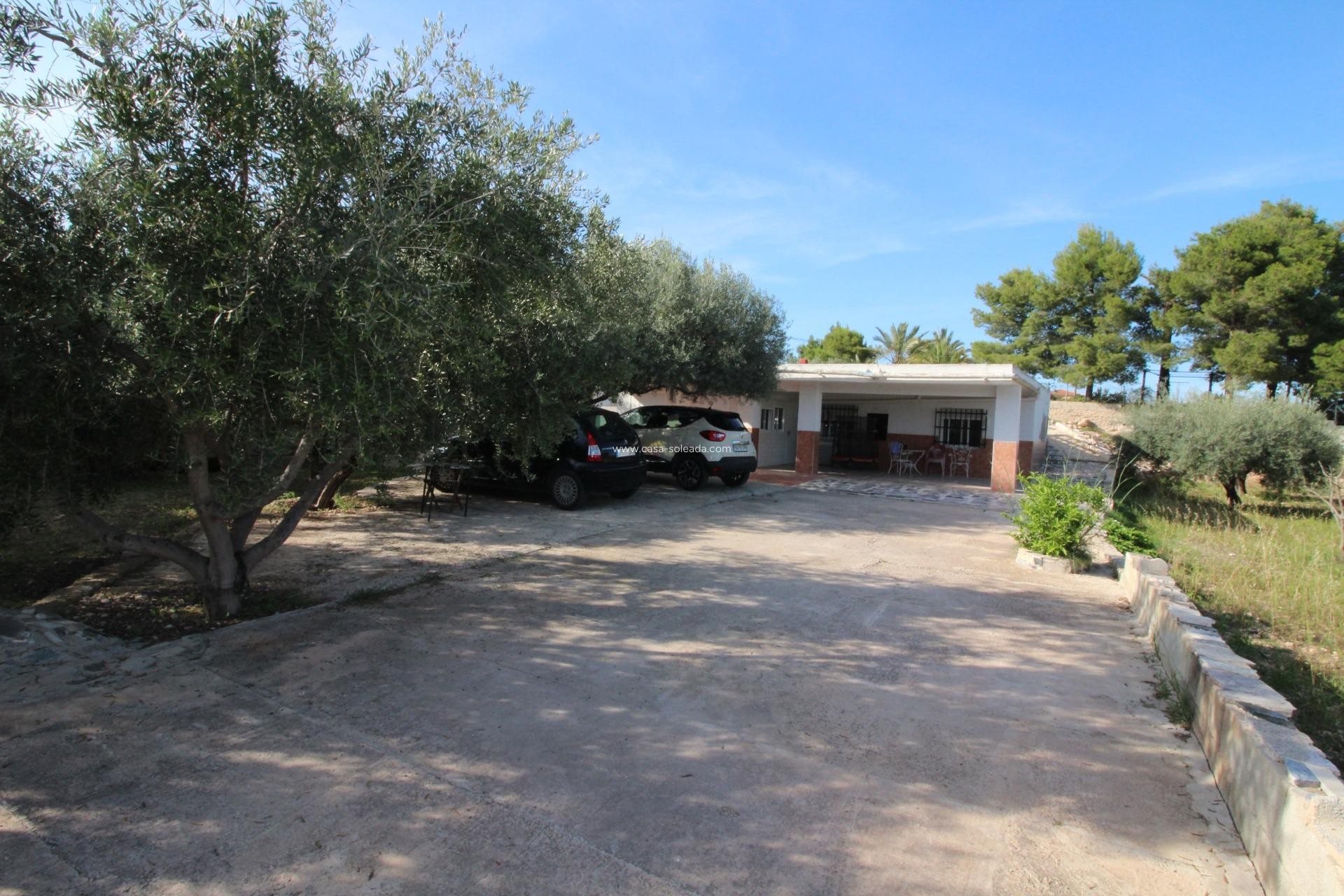 Wiederverkauf - Country Property/Finca - Crevillente - P.catxapets
