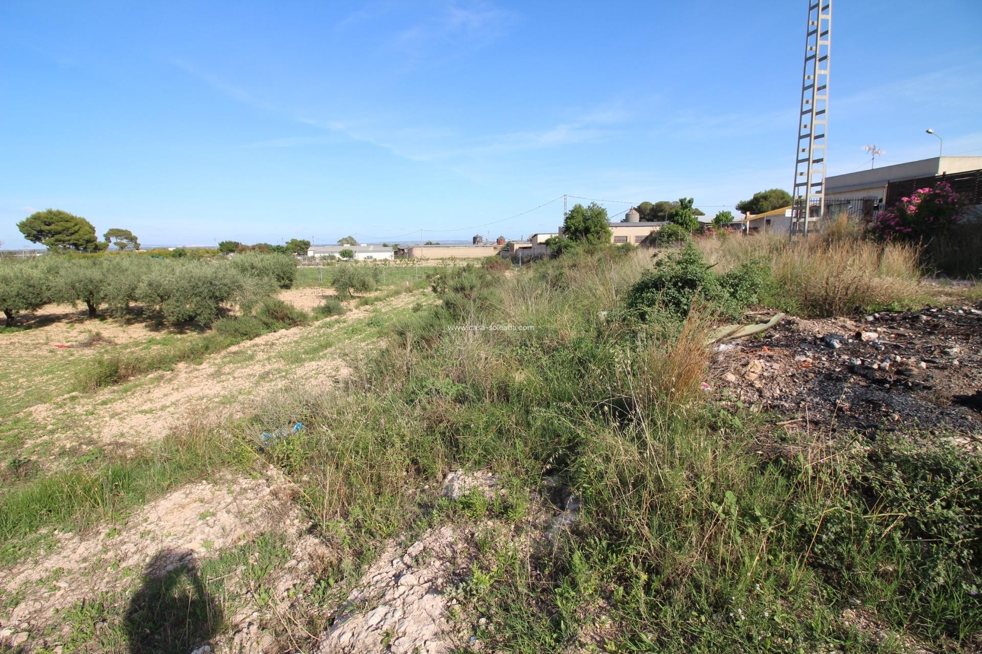 Wiederverkauf - Country Property/Finca - Crevillente - P.catxapets