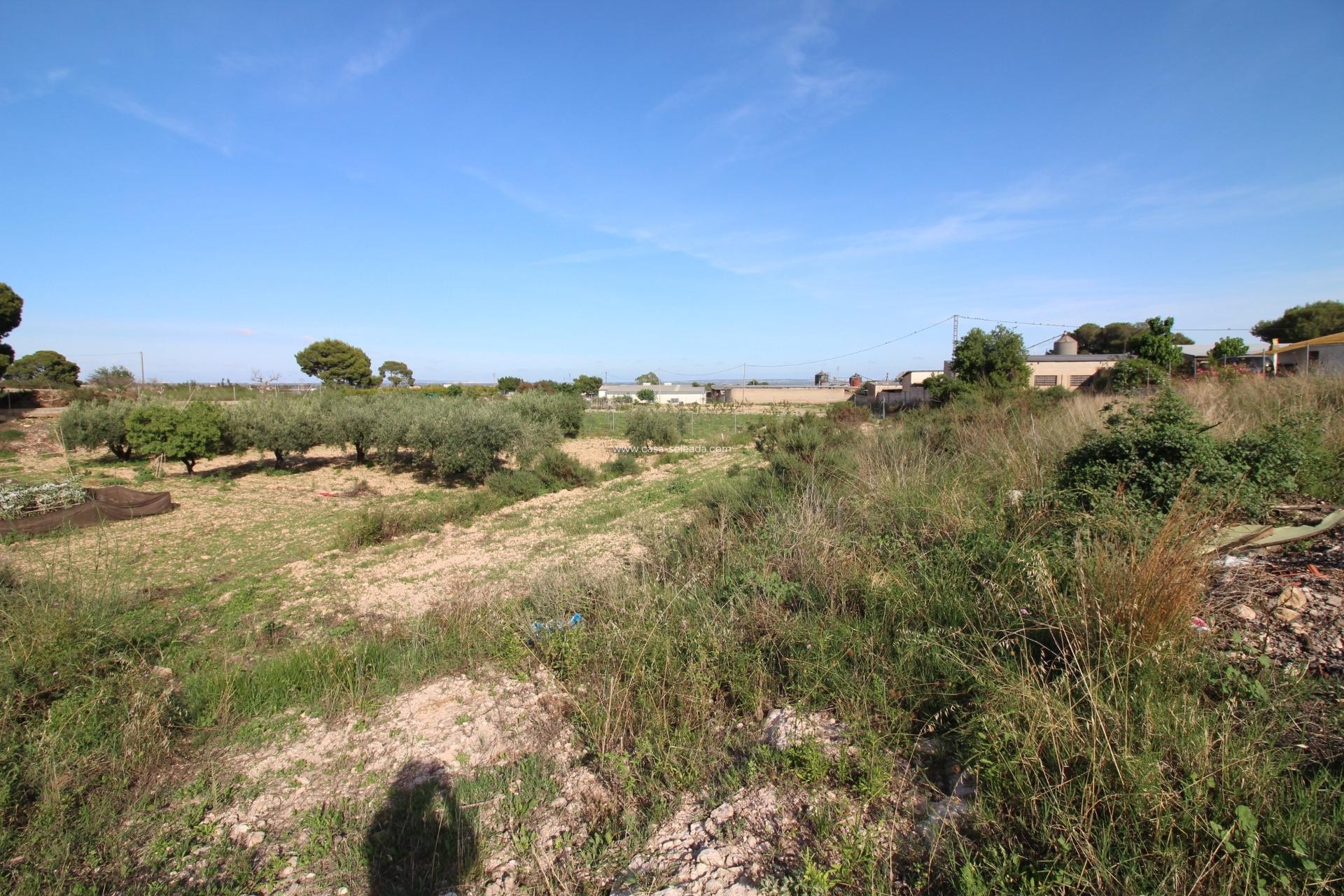Wiederverkauf - Country Property/Finca - Crevillente - P.catxapets