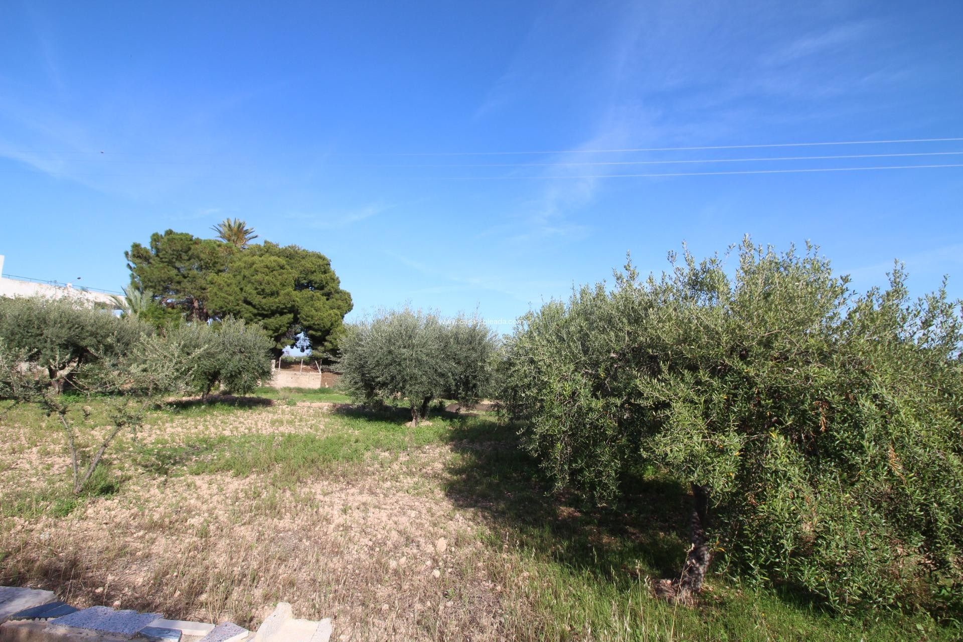Wiederverkauf - Country Property/Finca - Crevillente - P.catxapets
