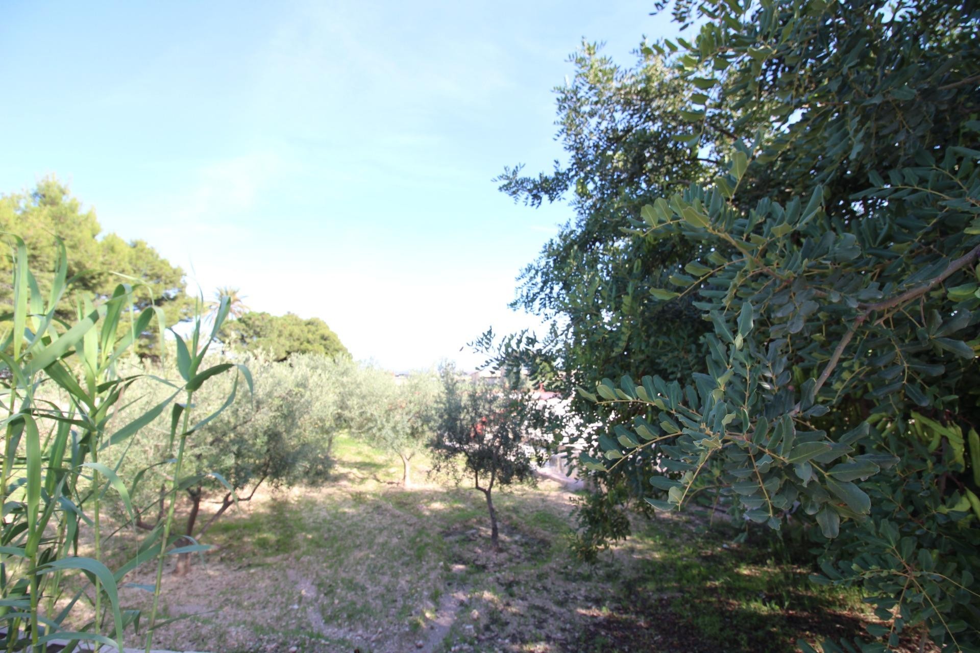 Wiederverkauf - Country Property/Finca - Crevillente - P.catxapets