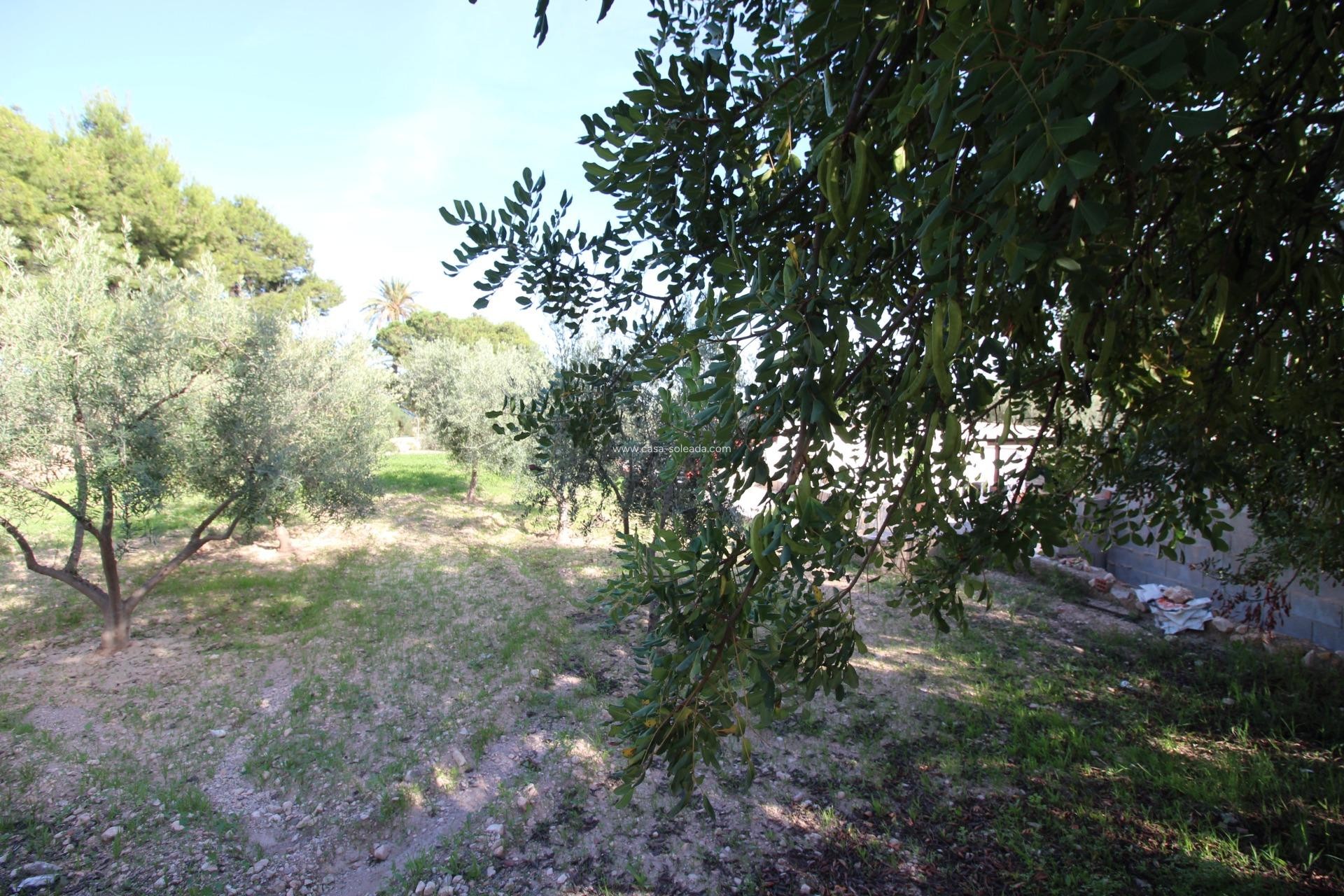 Wiederverkauf - Country Property/Finca - Crevillente - P.catxapets