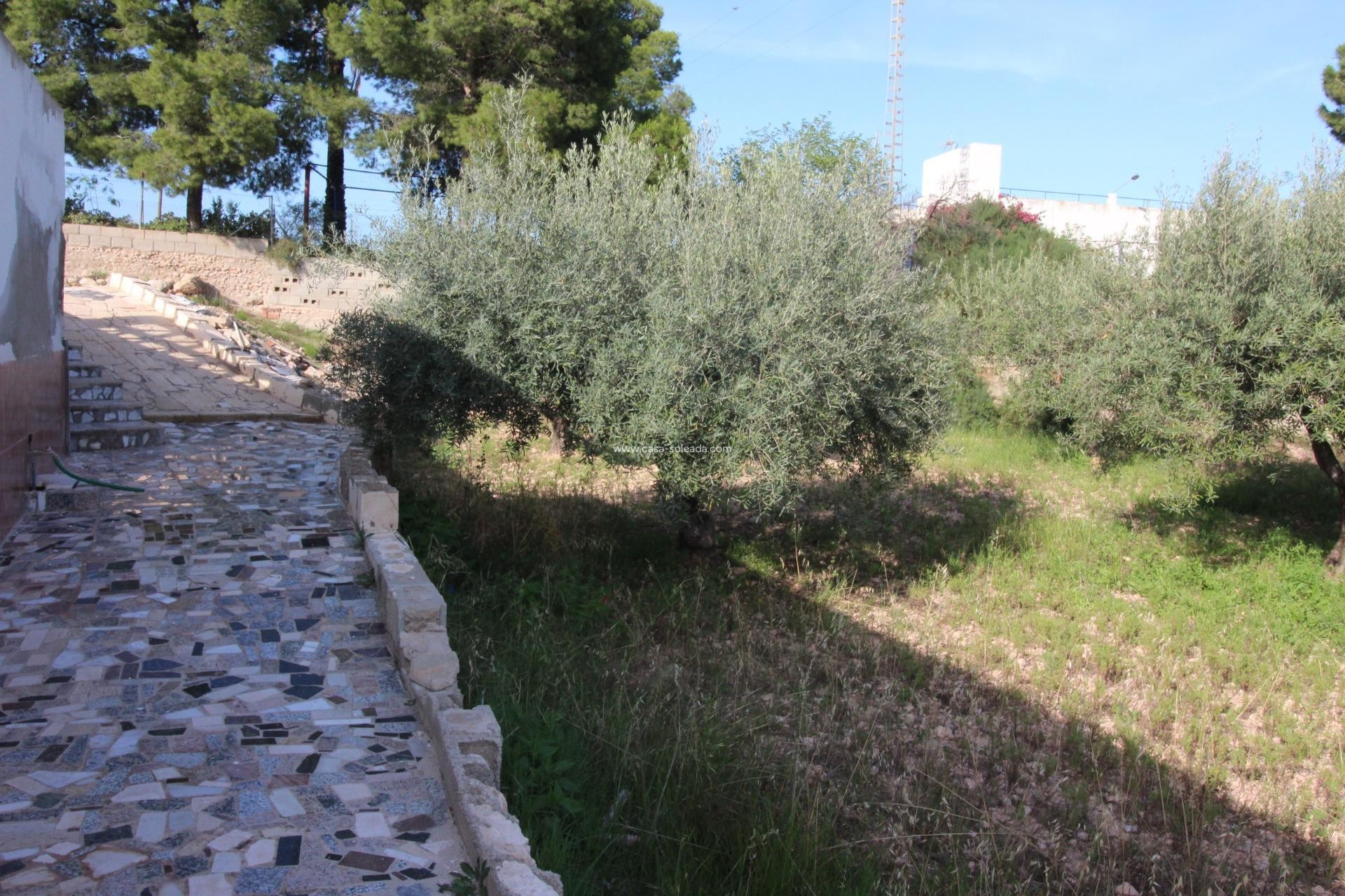 Wiederverkauf - Country Property/Finca - Crevillente - P.catxapets