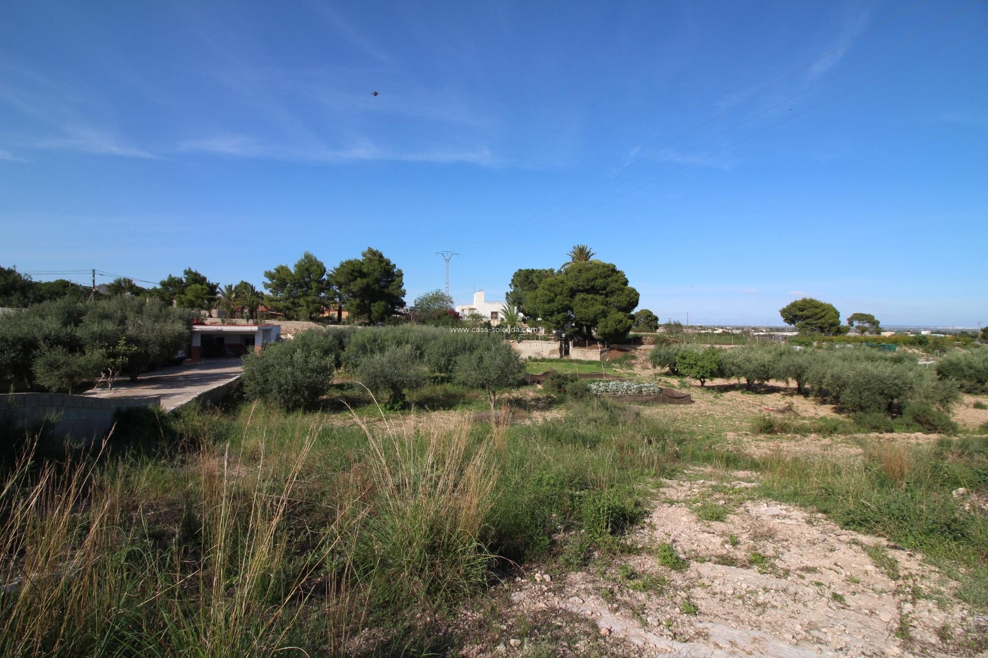 Wiederverkauf - Country Property/Finca - Crevillente - P.catxapets