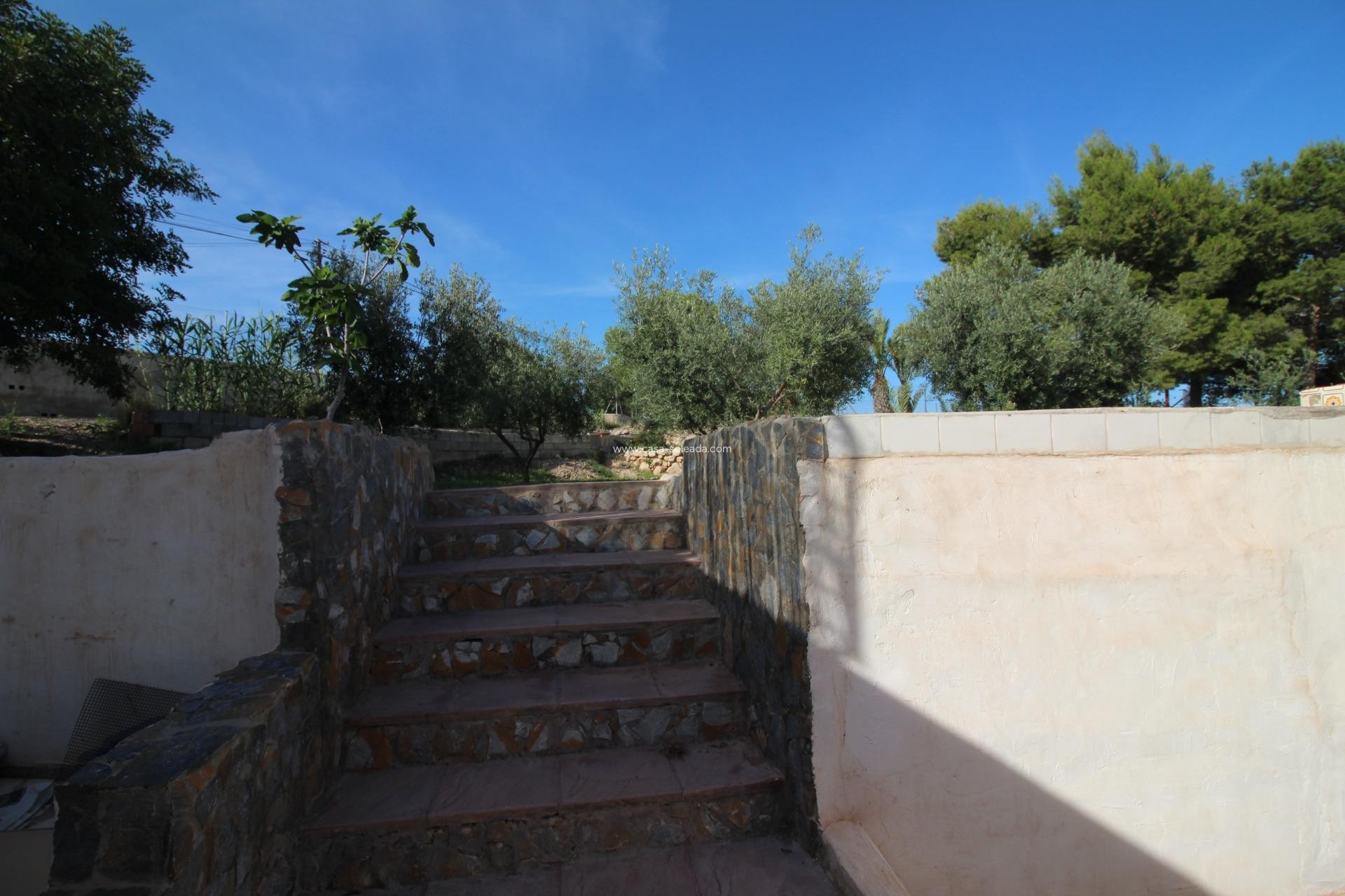 Wiederverkauf - Country Property/Finca - Crevillente - P.catxapets