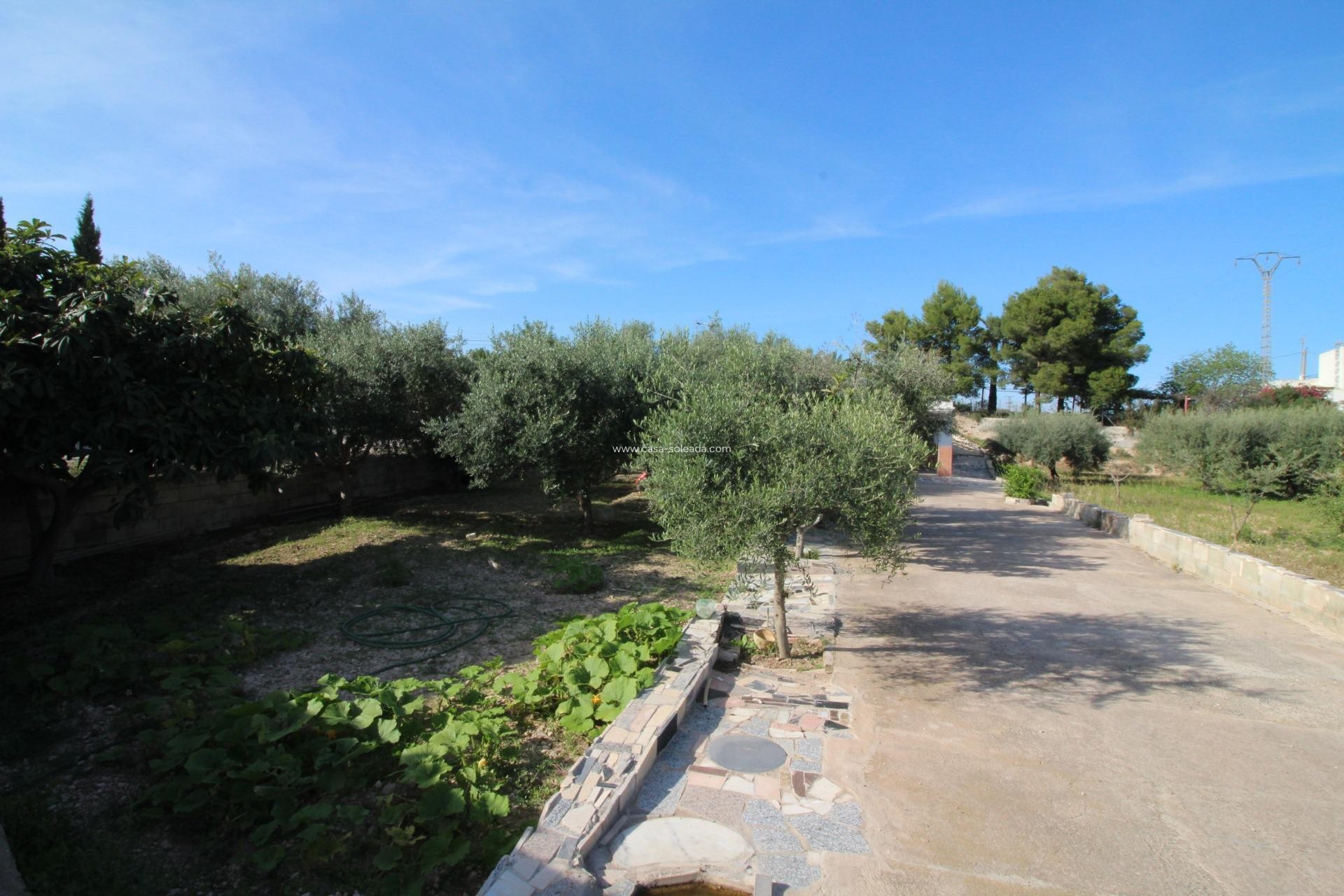 Wiederverkauf - Country Property/Finca - Crevillente - P.catxapets