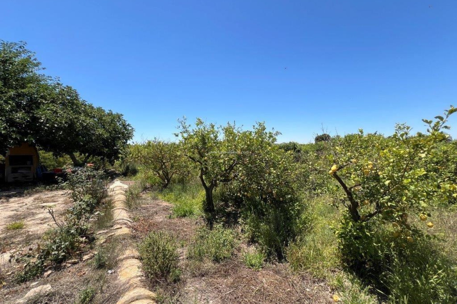 Wiederverkauf - Country Property/Finca - Daya Nueva - almoradi