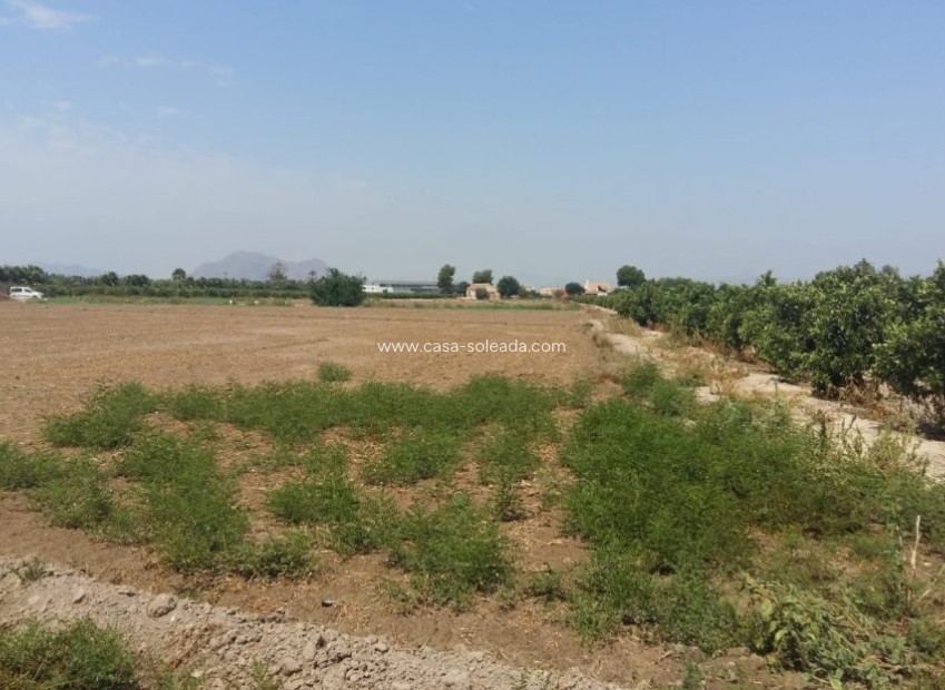 Wiederverkauf - Country Property/Finca - Daya Nueva - Costa Blanca