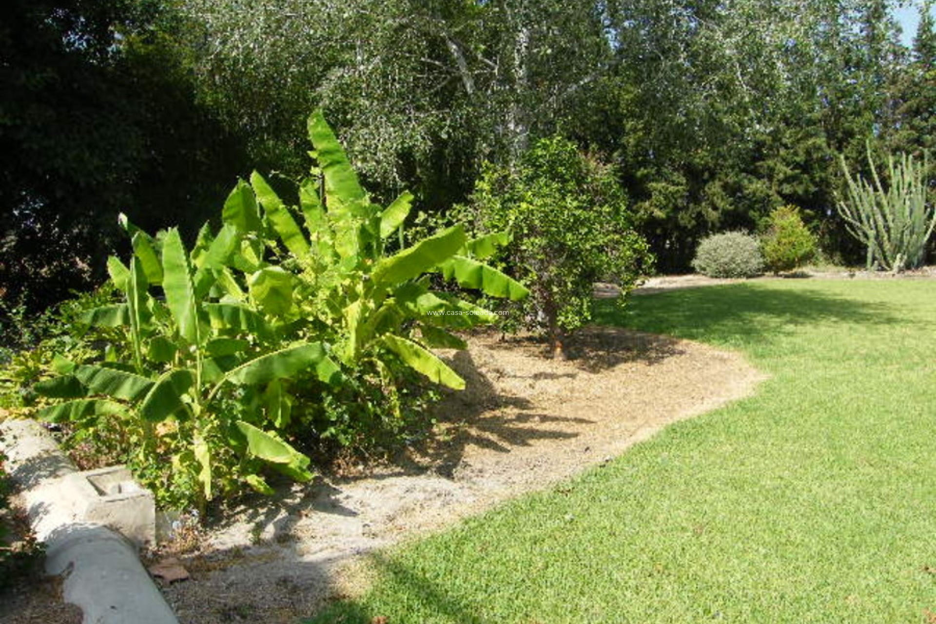 Wiederverkauf - Country Property/Finca - Daya Nueva - Costa Blanca