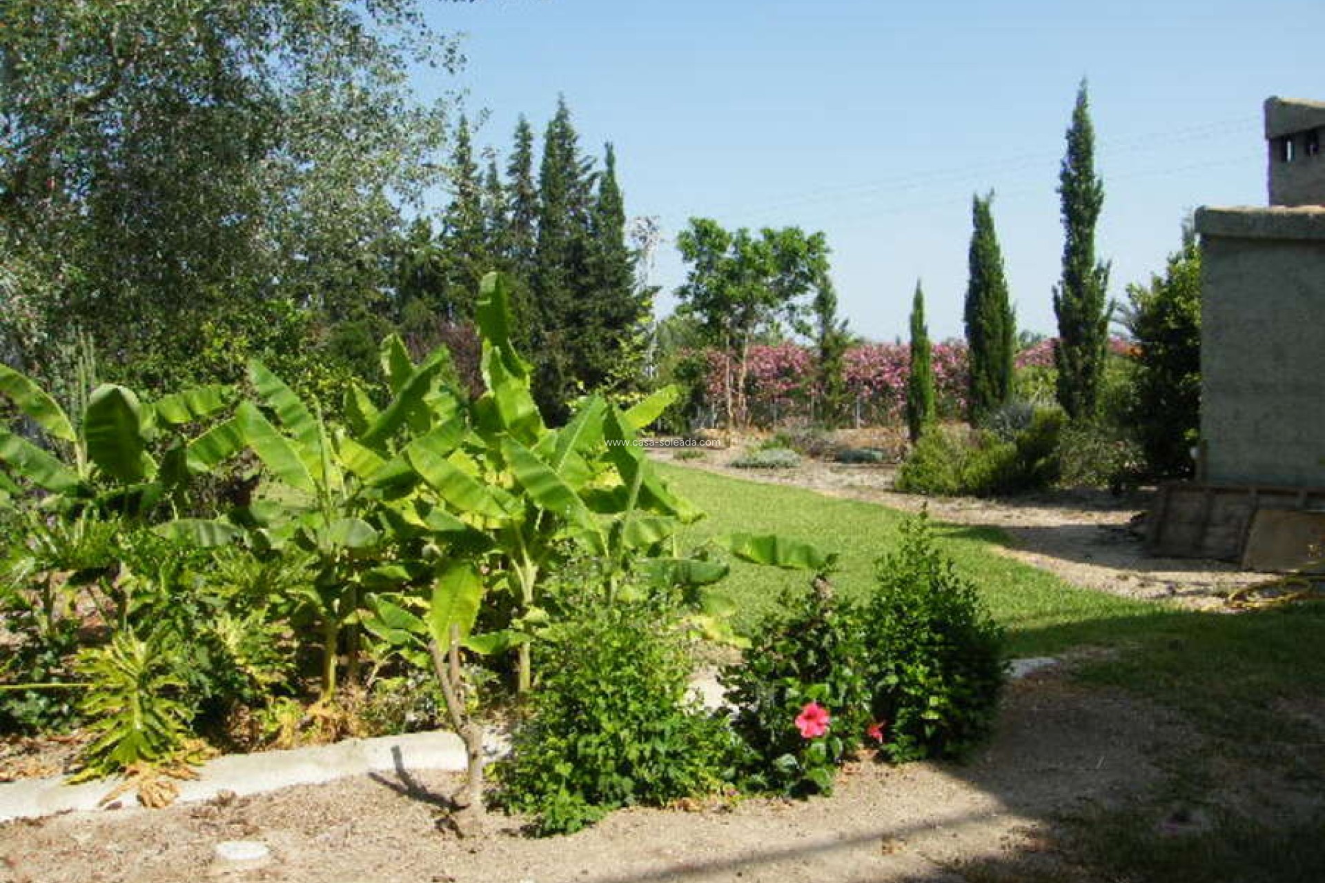 Wiederverkauf - Country Property/Finca - Daya Nueva - Costa Blanca