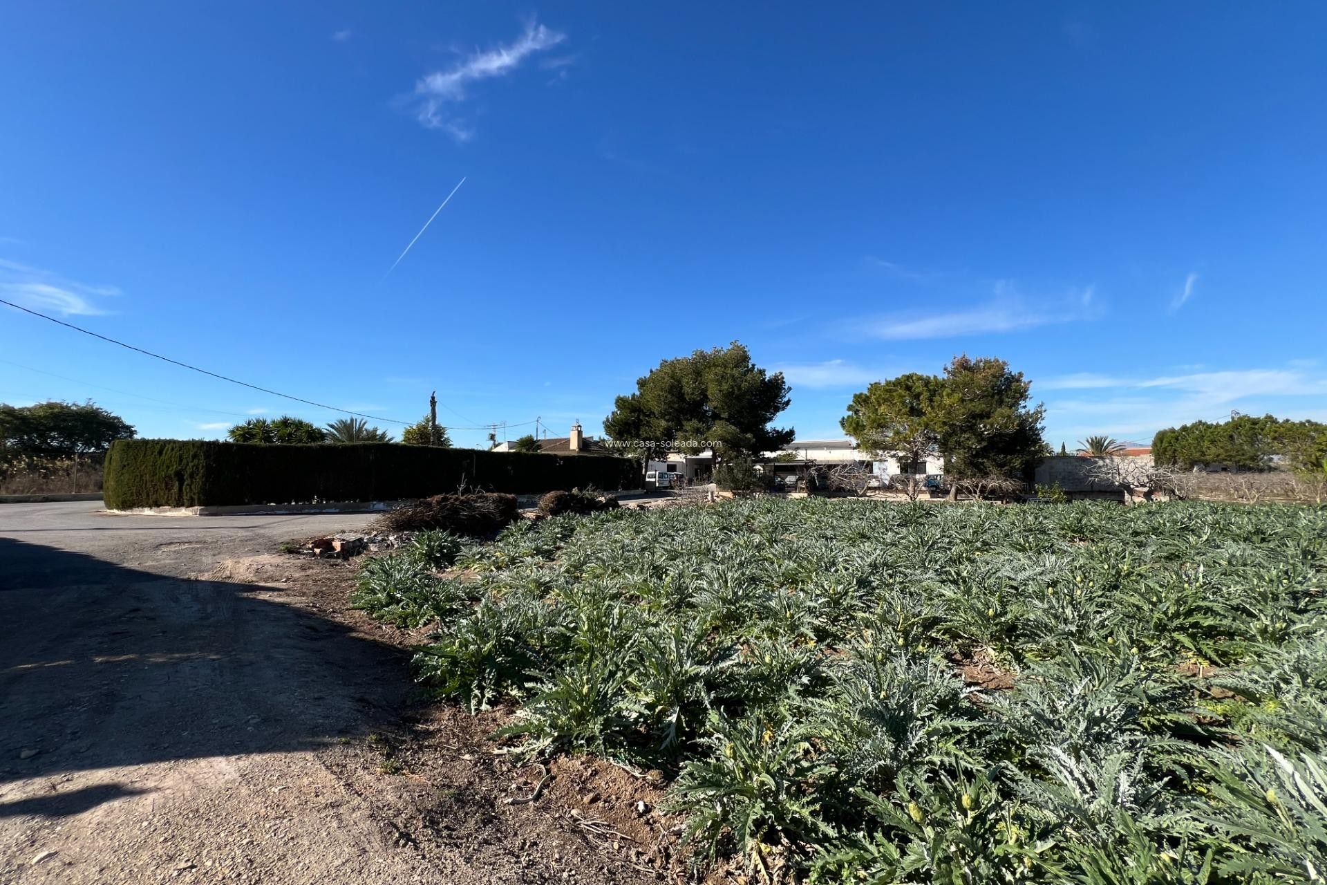 Wiederverkauf - Country Property/Finca - Dolores - Camino De La Cebada