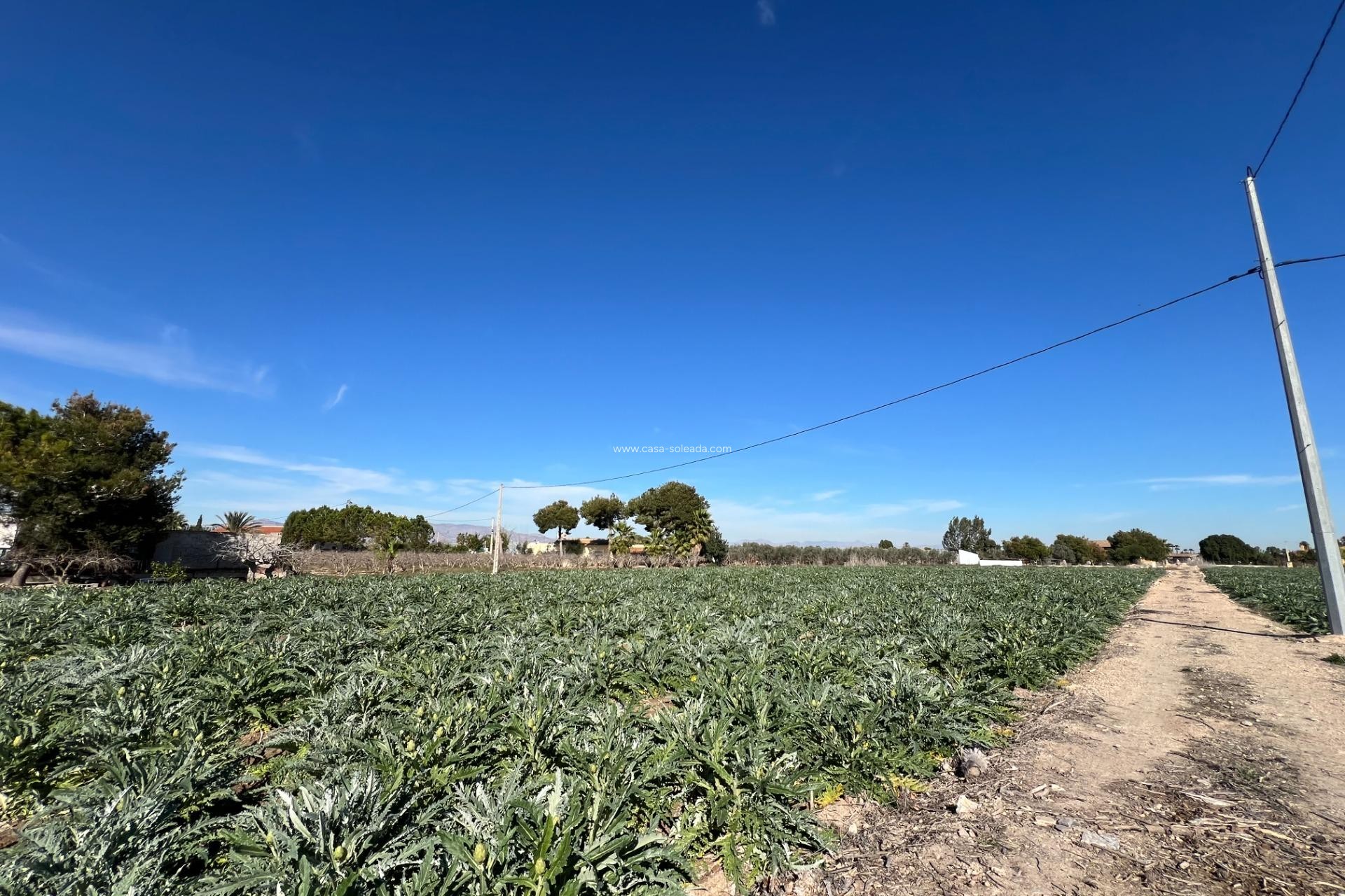 Wiederverkauf - Country Property/Finca - Dolores - Camino De La Cebada