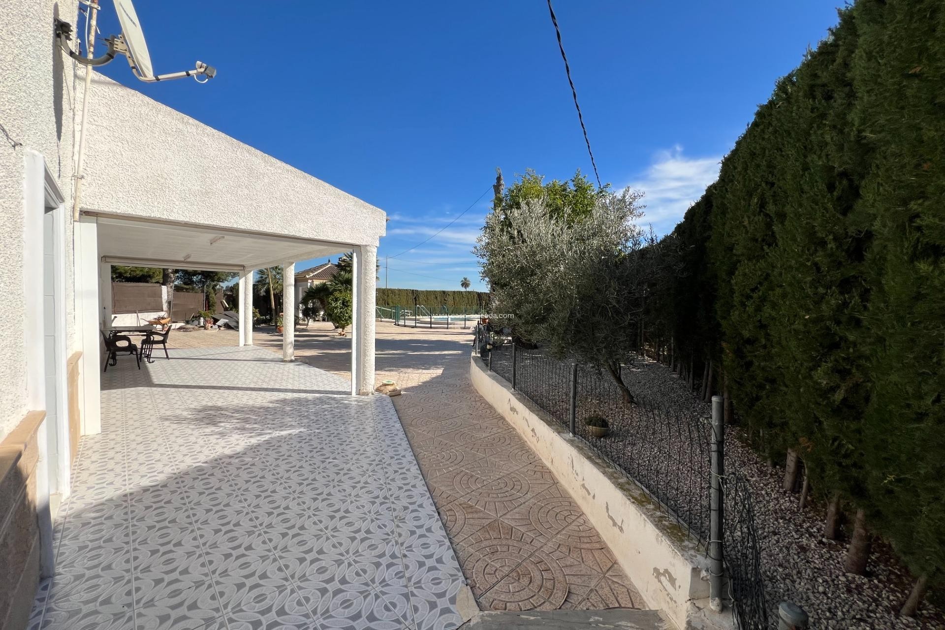 Wiederverkauf - Country Property/Finca - Dolores - Camino De La Cebada