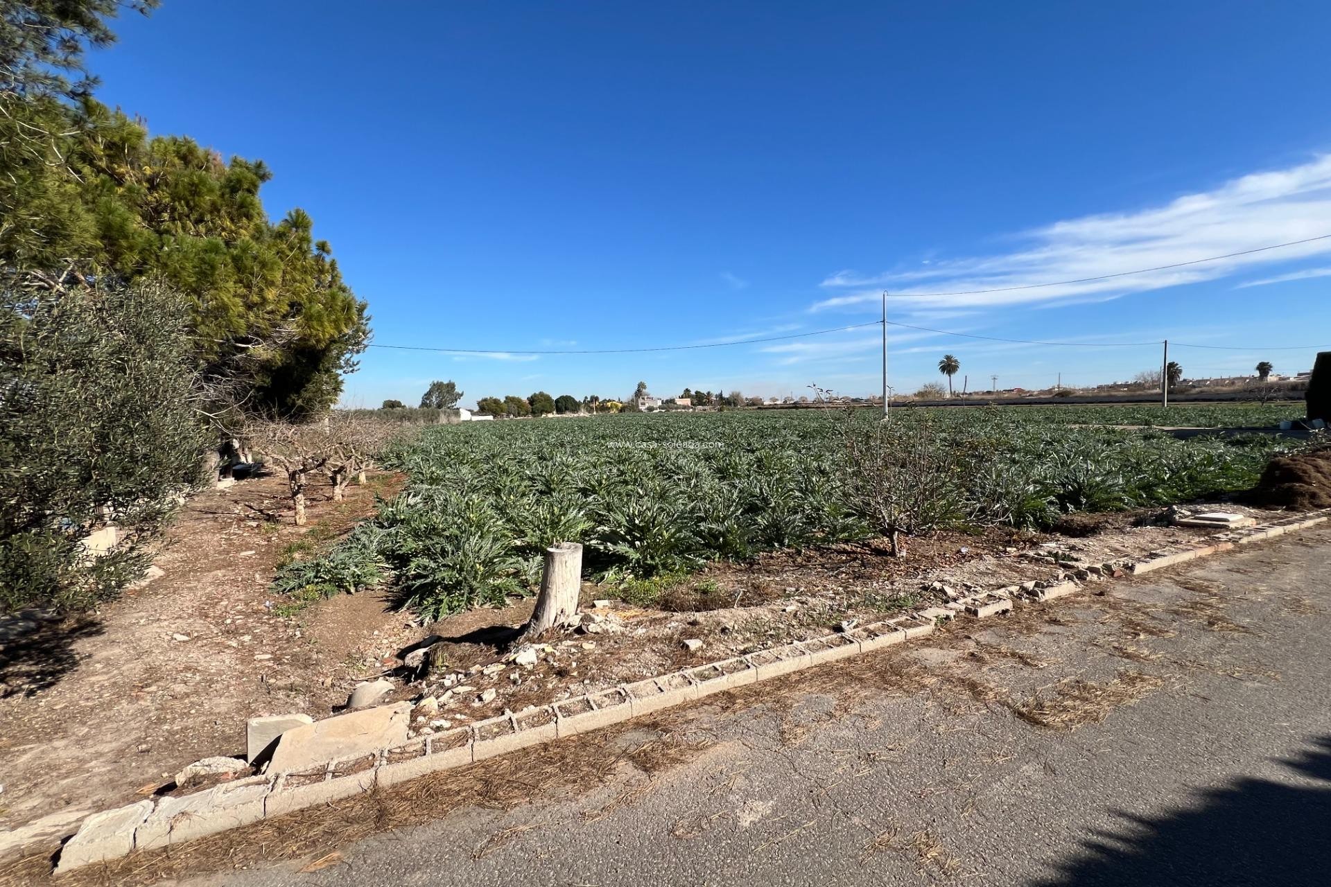 Wiederverkauf - Country Property/Finca - Dolores - Camino De La Cebada