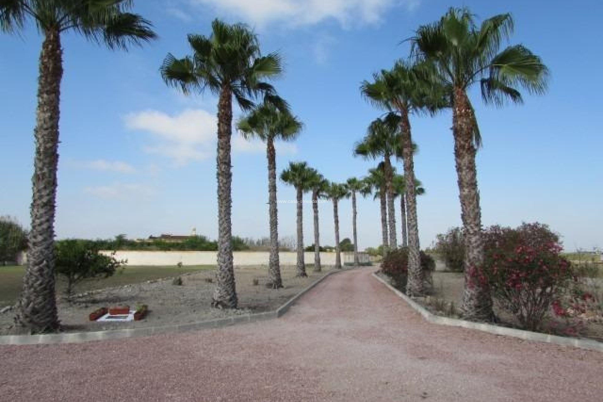 Wiederverkauf - Country Property/Finca - Dolores - Comunidad Valenciana