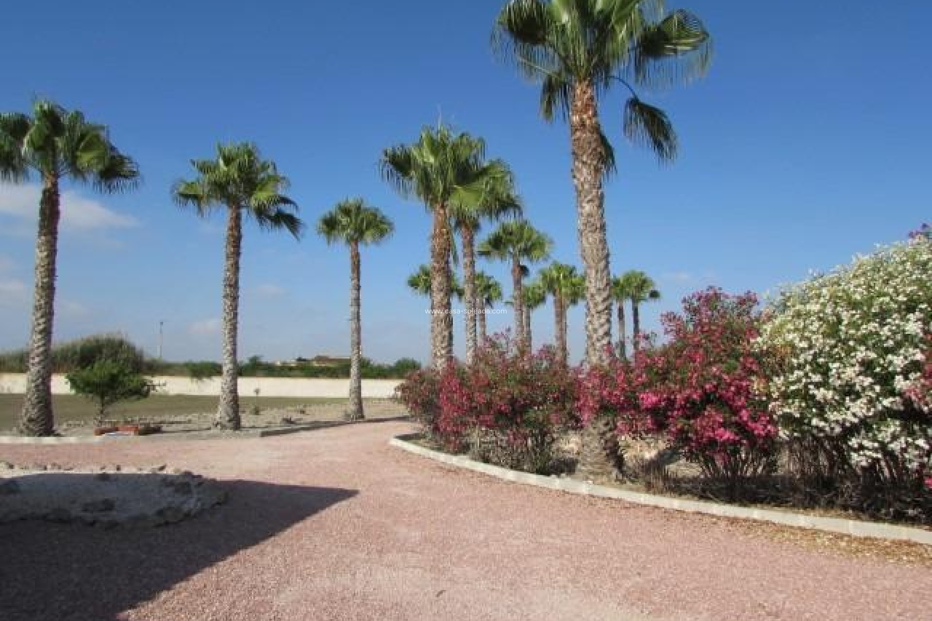 Wiederverkauf - Country Property/Finca - Dolores - Comunidad Valenciana