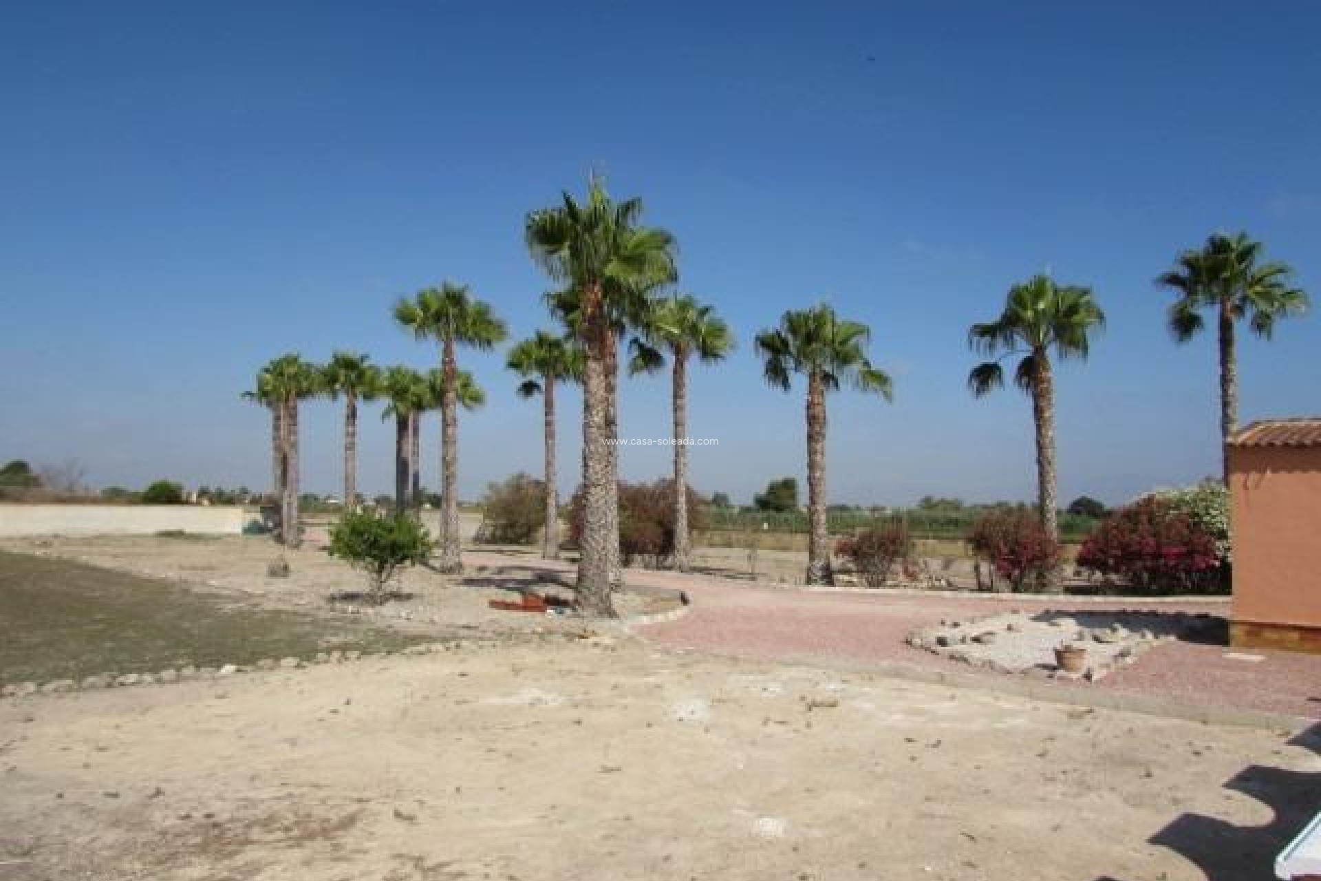 Wiederverkauf - Country Property/Finca - Dolores - Comunidad Valenciana