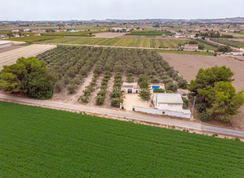 Wiederverkauf - Country Property/Finca - Dolores - Costa Blanca