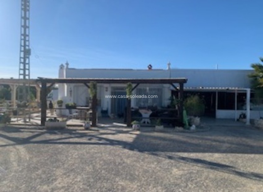 Wiederverkauf - Country Property/Finca - El Pinet - Costa Blanca