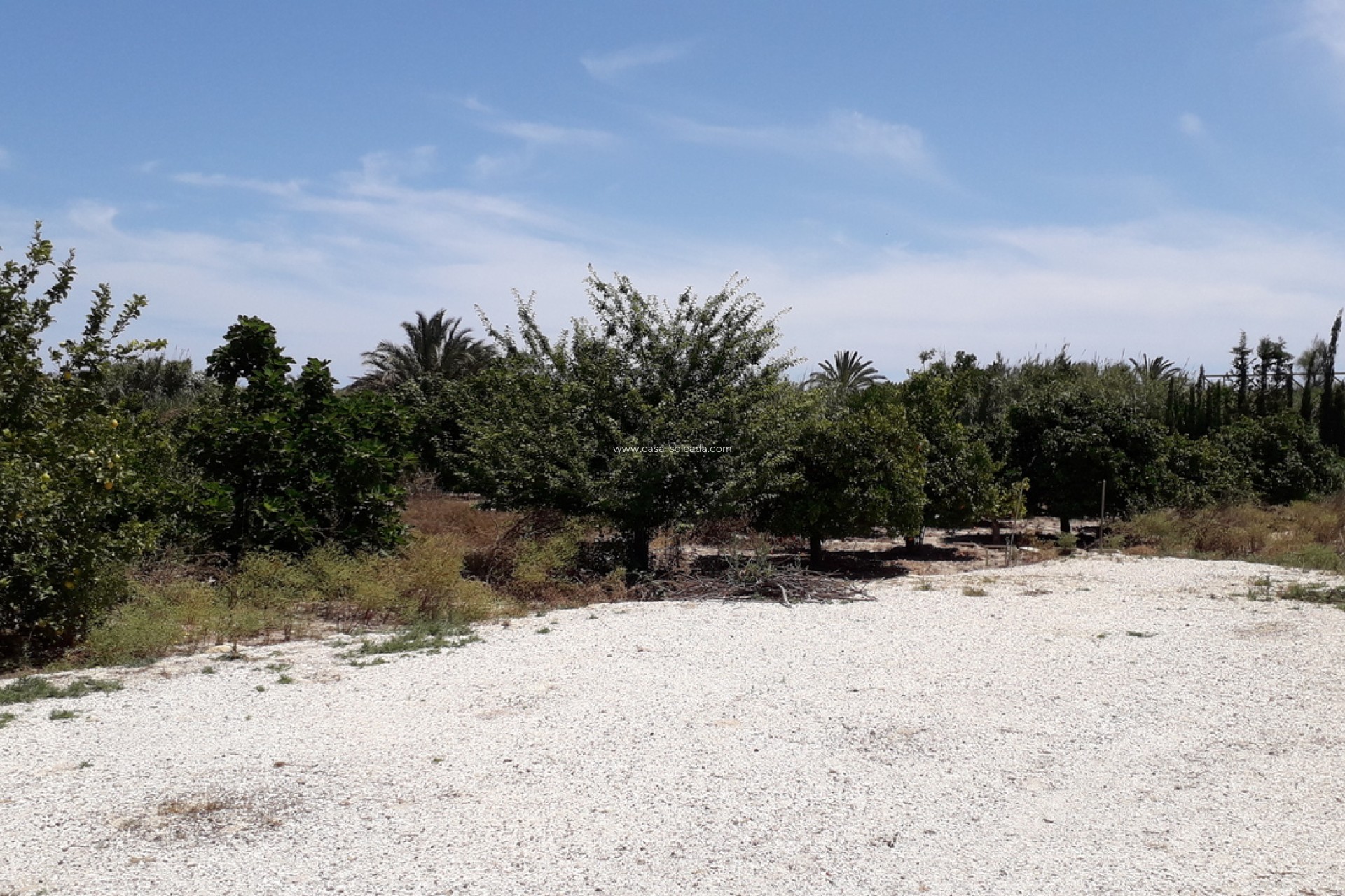 Wiederverkauf - Country Property/Finca - Heredades - almoradi
