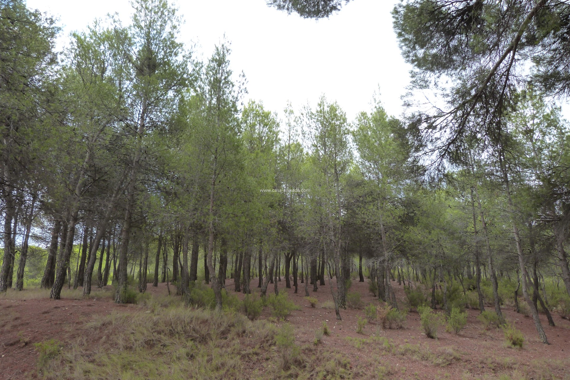 Wiederverkauf - Country Property/Finca - Ibi - Ibi - Country
