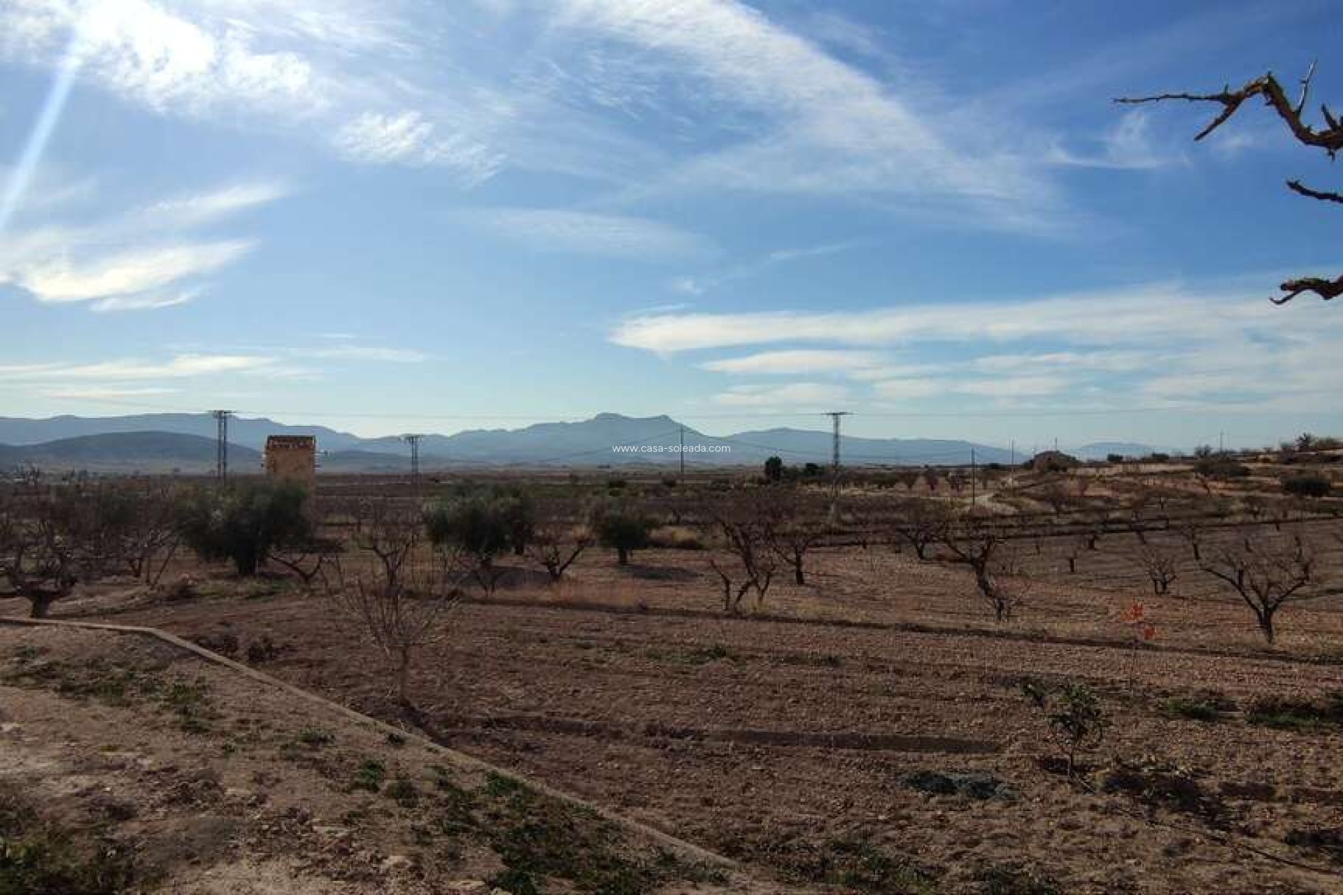 Wiederverkauf - Country Property/Finca - Jumilla - Inland