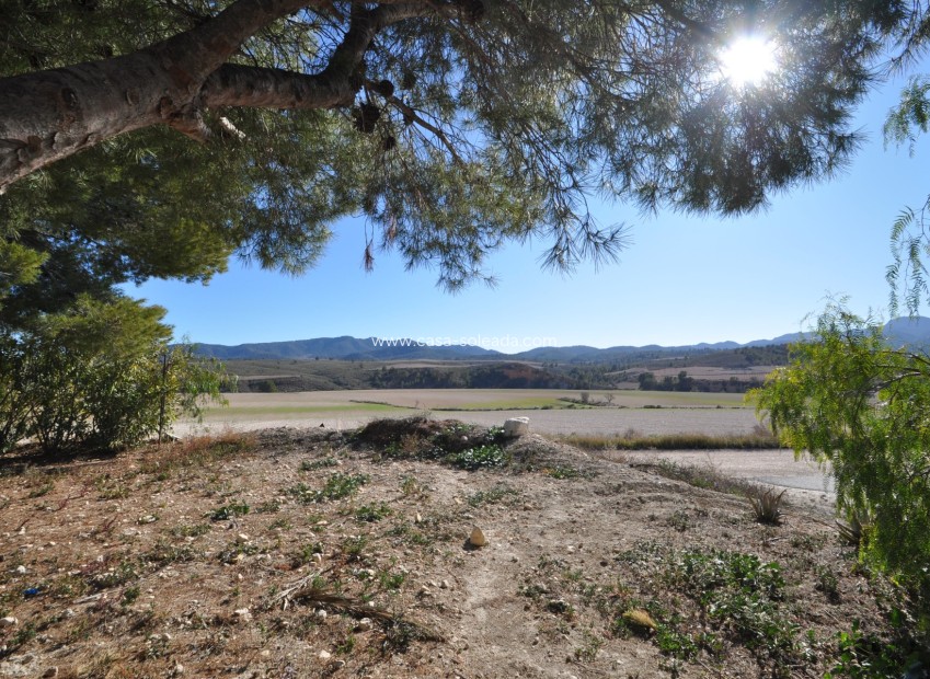 Wiederverkauf - Country Property/Finca - Jumilla - Inland