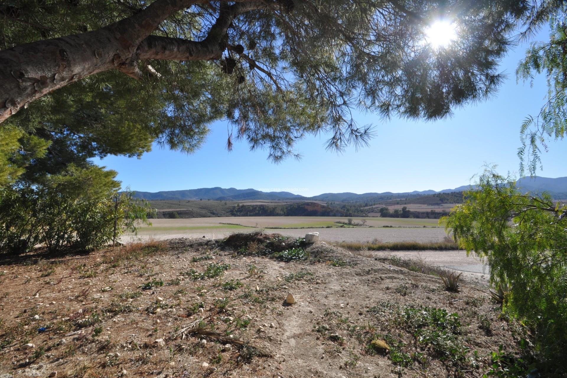 Wiederverkauf - Country Property/Finca - Jumilla - Inland