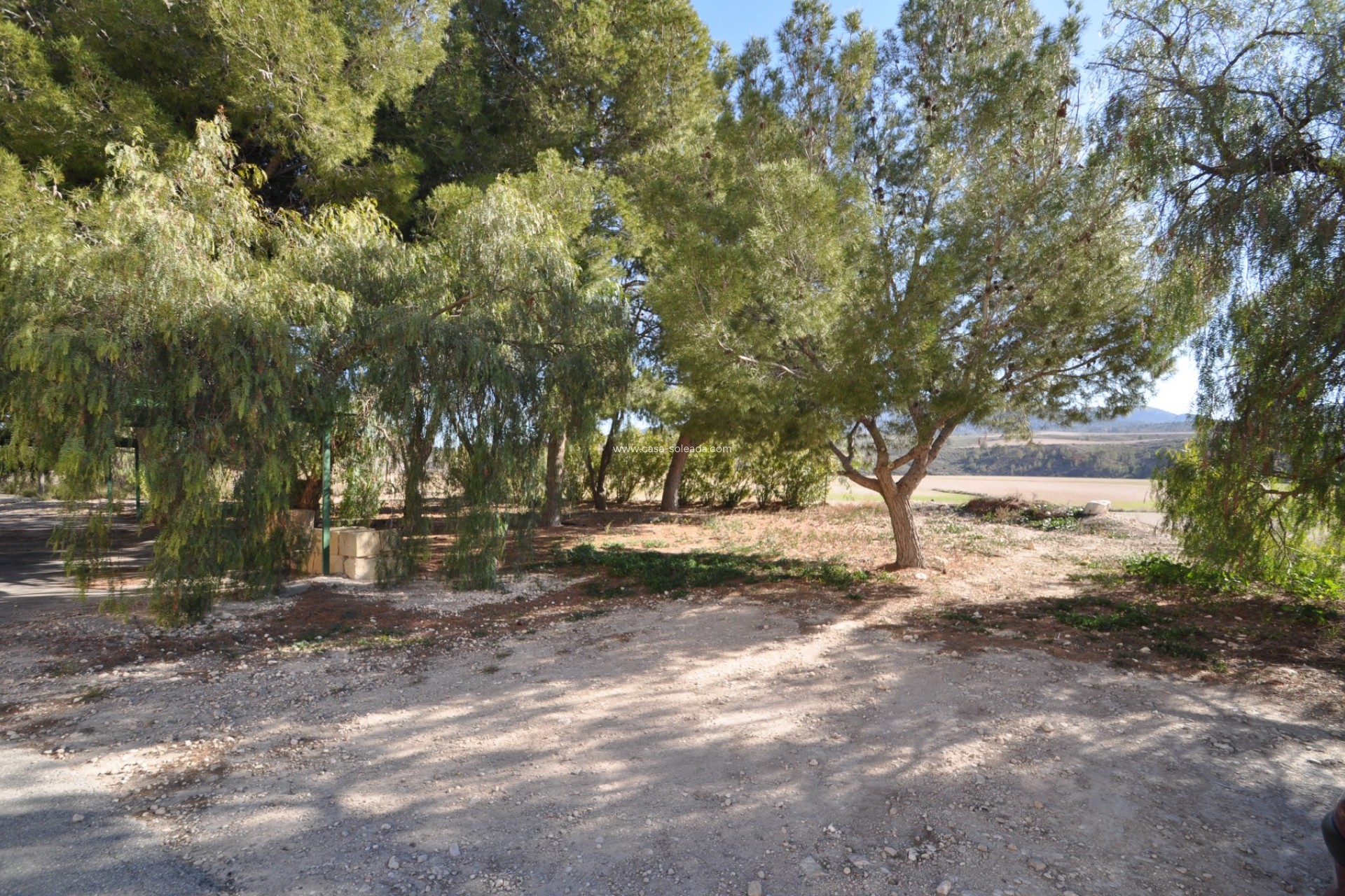 Wiederverkauf - Country Property/Finca - Jumilla - Inland
