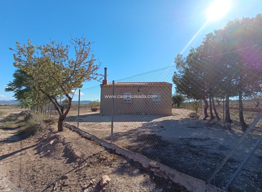 Wiederverkauf - Country Property/Finca - Jumilla - Inland