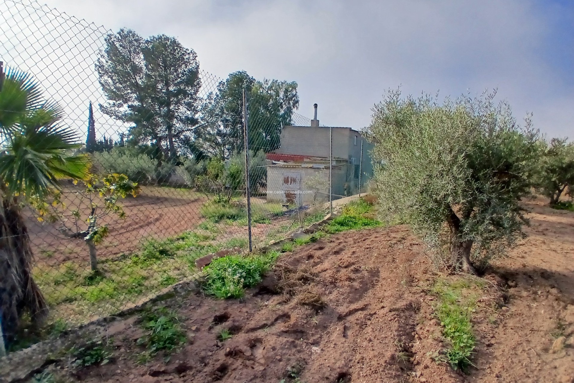 Wiederverkauf - Country Property/Finca - Jumilla - Inland