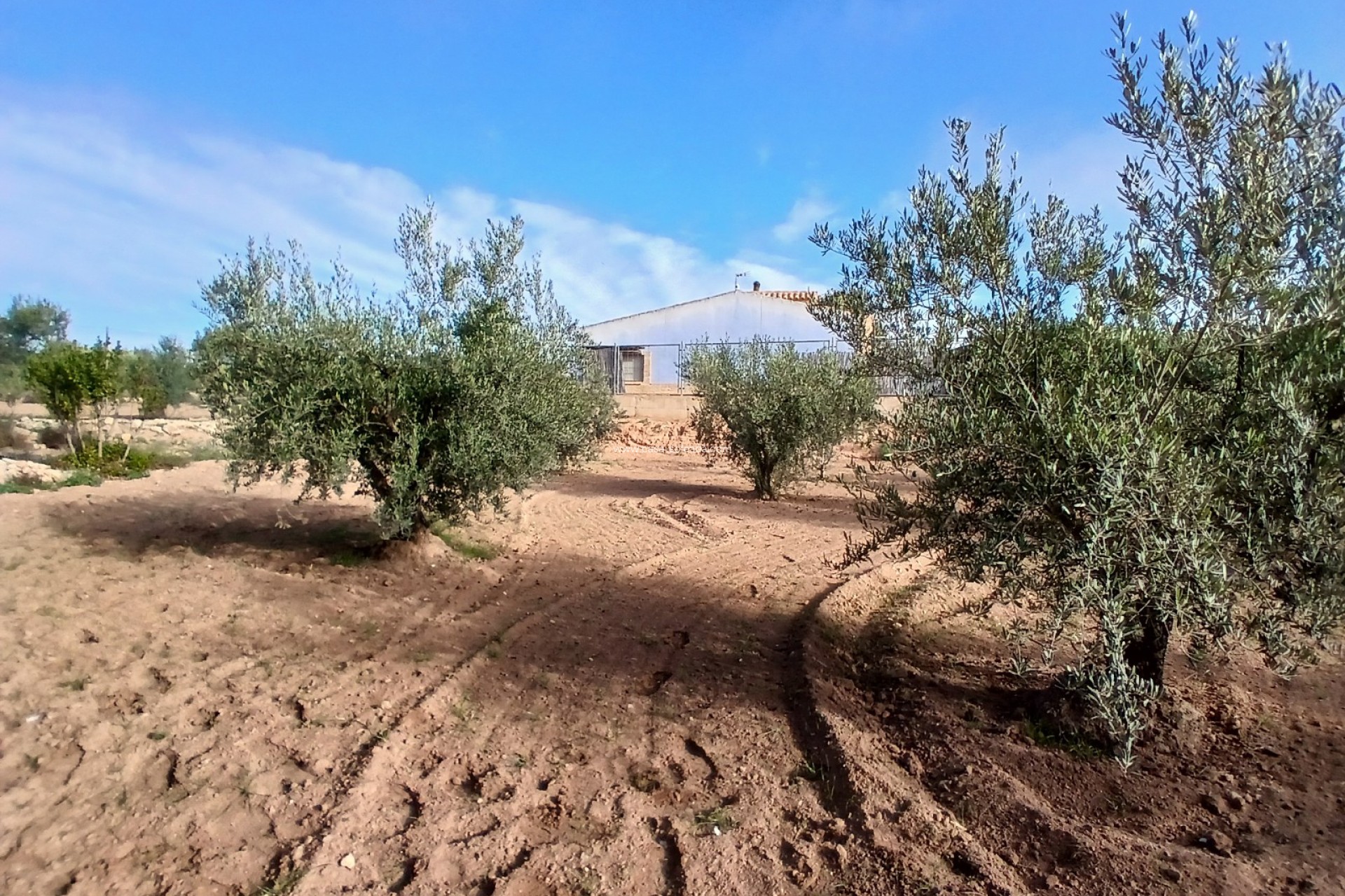 Wiederverkauf - Country Property/Finca - Jumilla - Inland