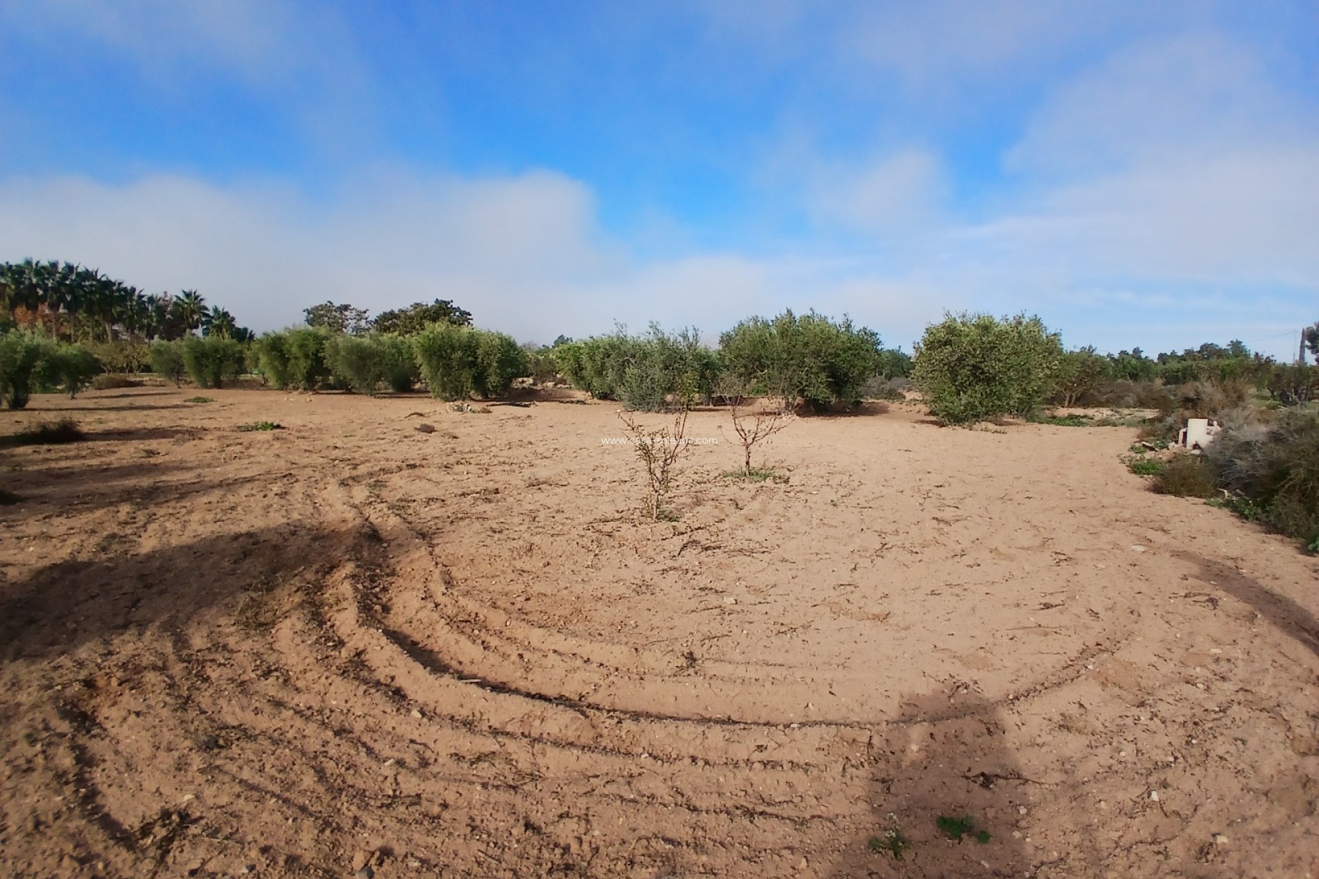 Wiederverkauf - Country Property/Finca - Jumilla - Inland