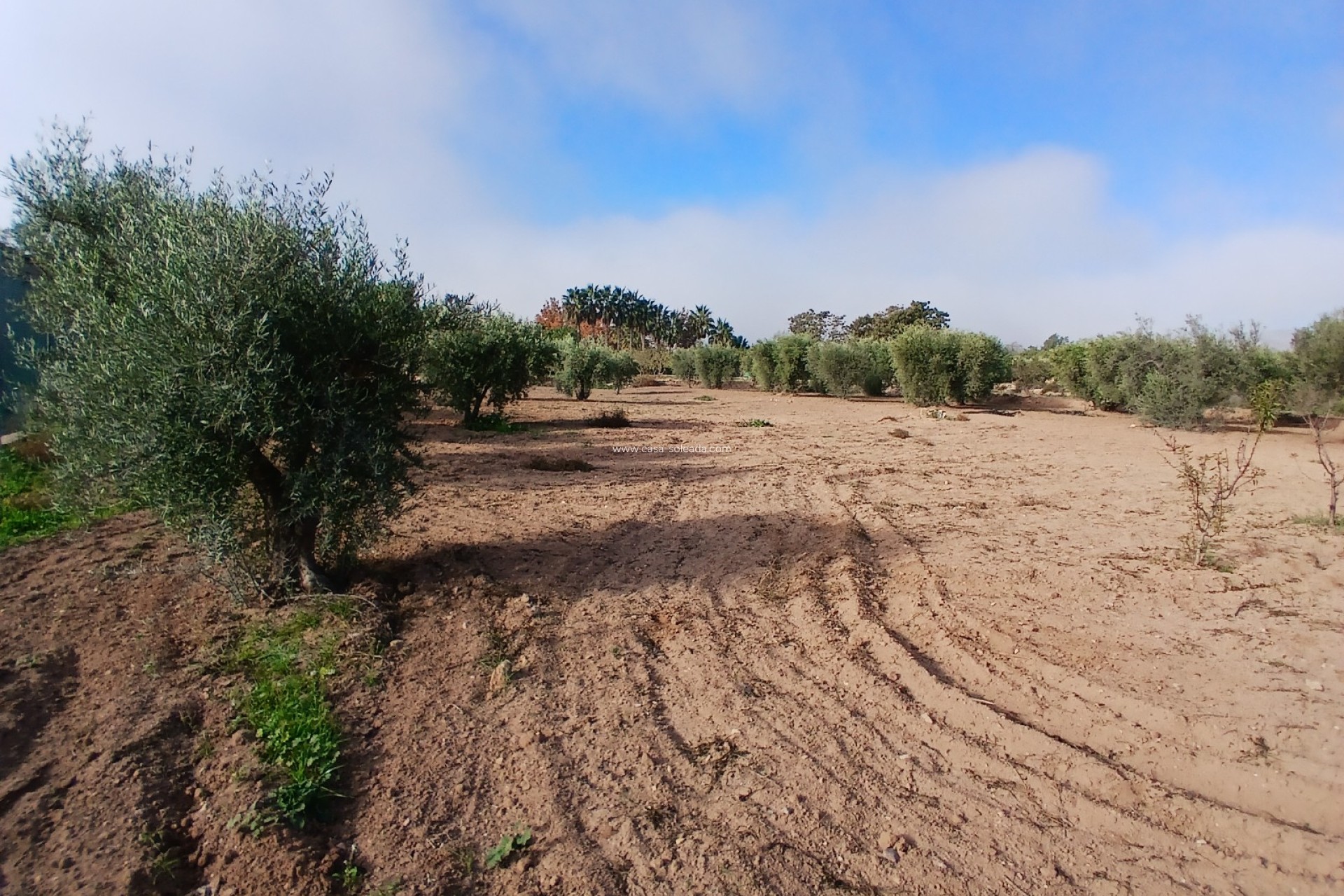 Wiederverkauf - Country Property/Finca - Jumilla - Inland