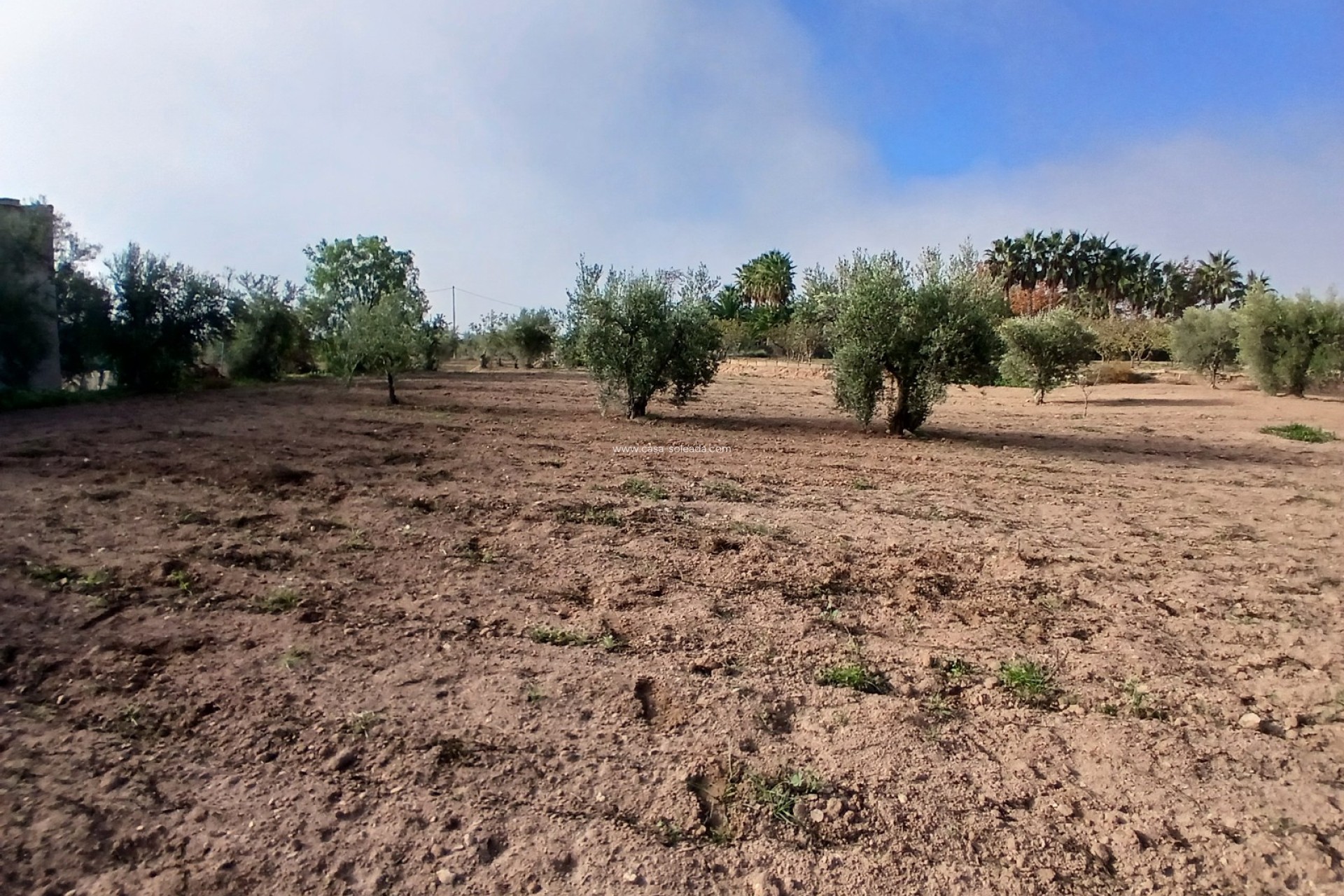 Wiederverkauf - Country Property/Finca - Jumilla - Inland