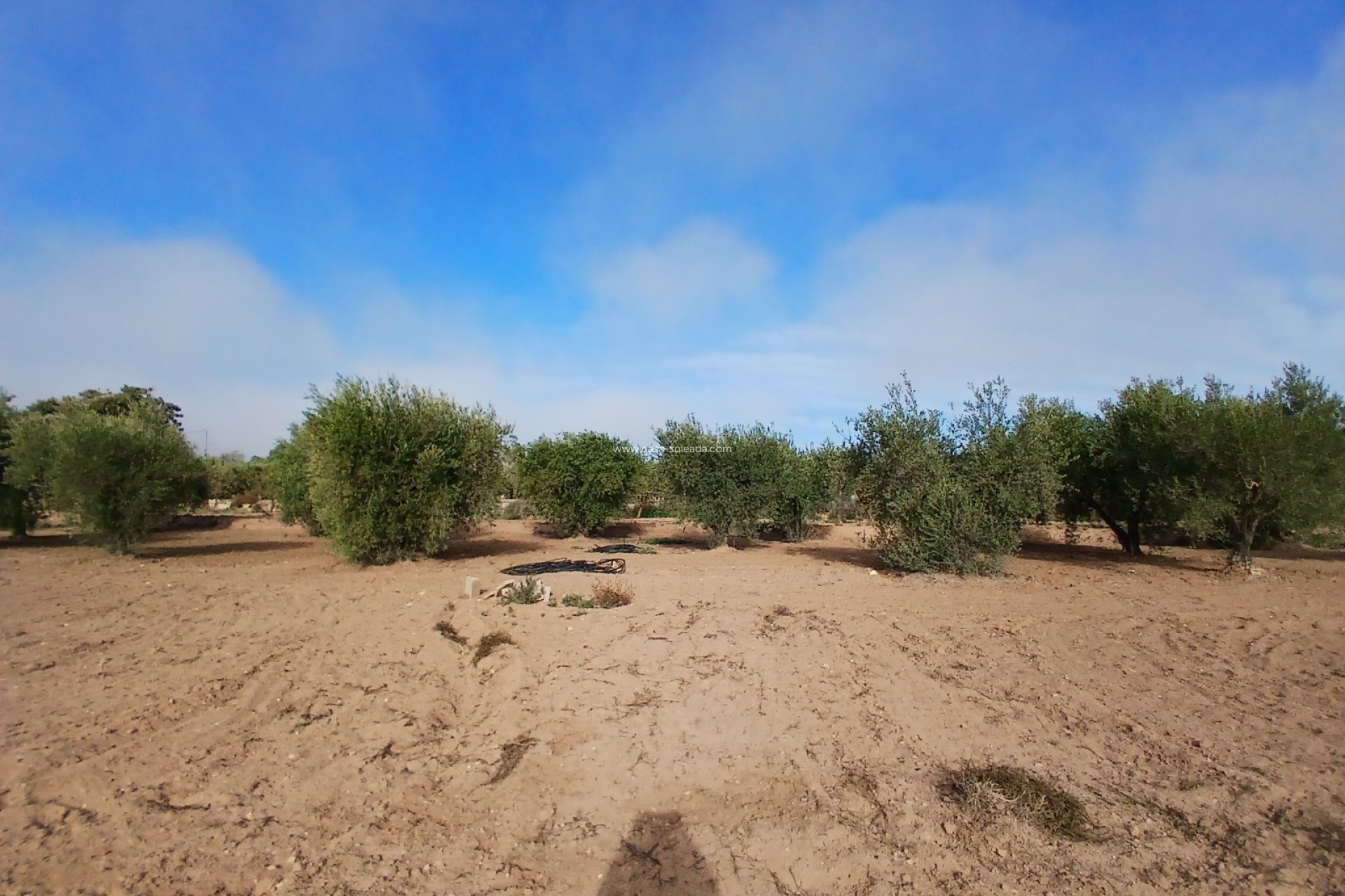 Wiederverkauf - Country Property/Finca - Jumilla - Inland