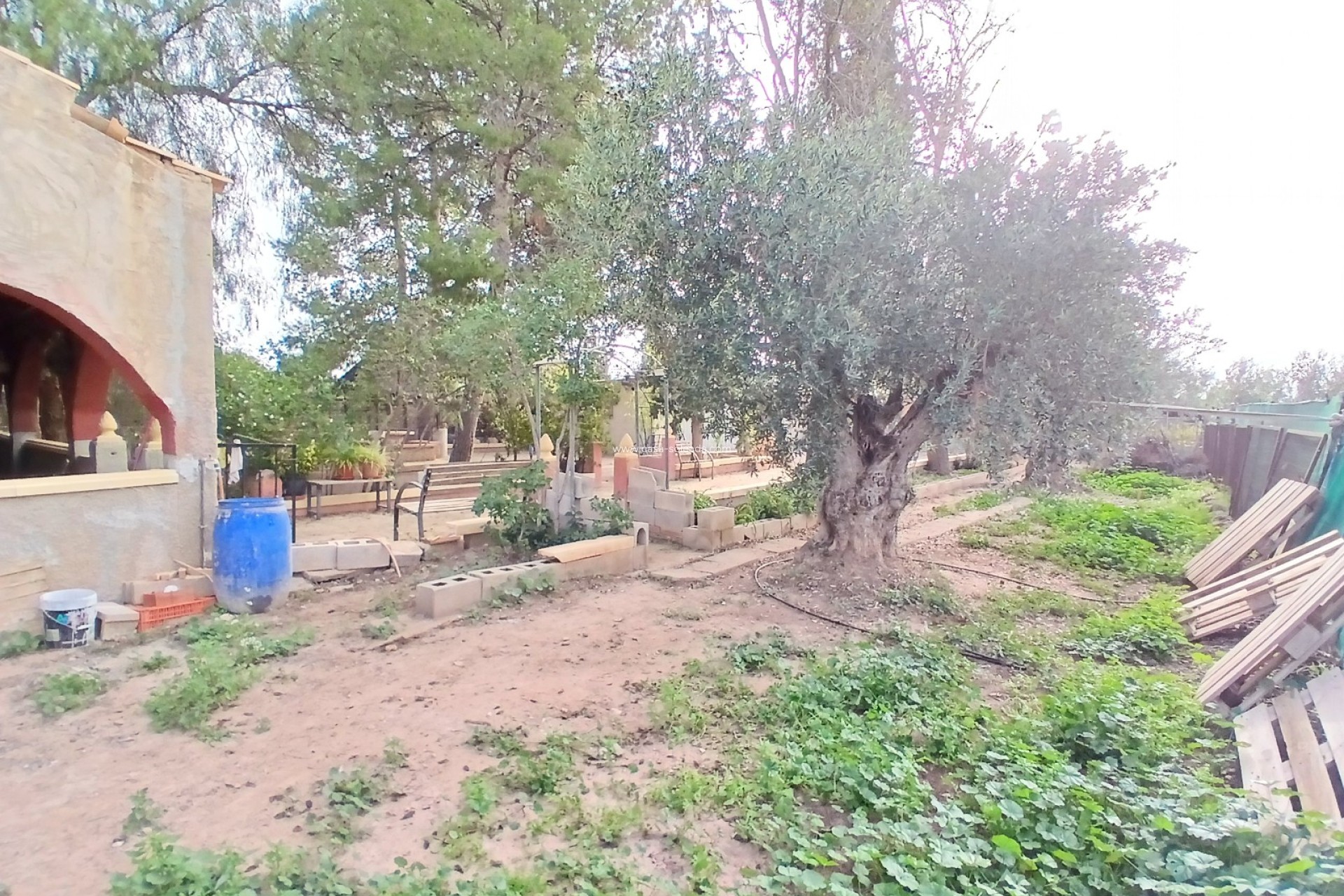 Wiederverkauf - Country Property/Finca - Jumilla - Inland