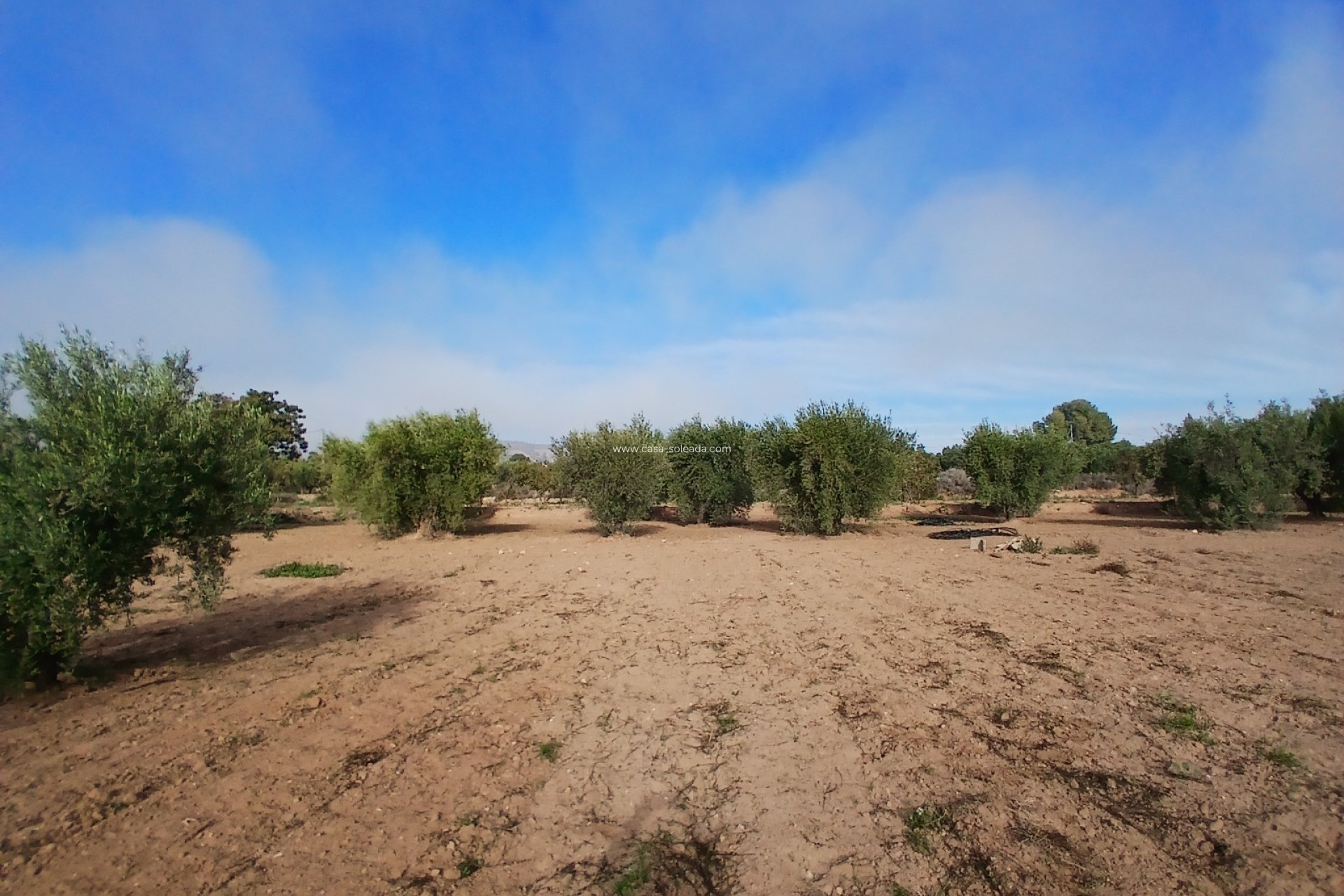 Wiederverkauf - Country Property/Finca - Jumilla - Inland