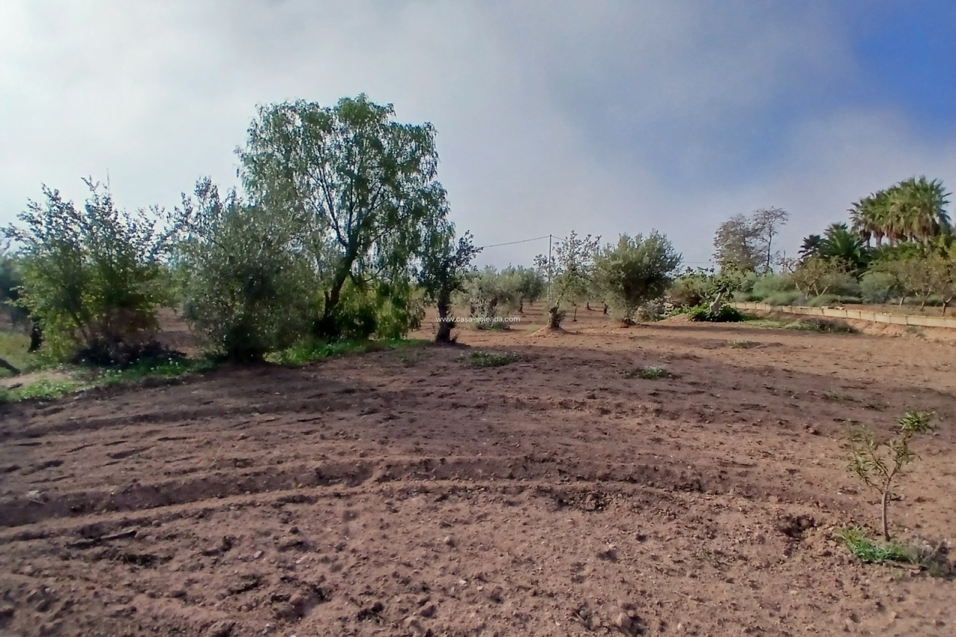 Wiederverkauf - Country Property/Finca - Jumilla - Inland