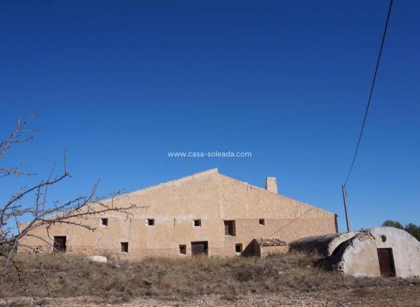 Wiederverkauf - Country Property/Finca - Jumilla - Inland