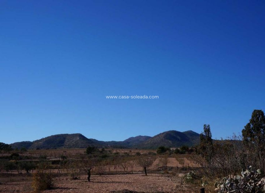 Wiederverkauf - Country Property/Finca - Jumilla - Inland
