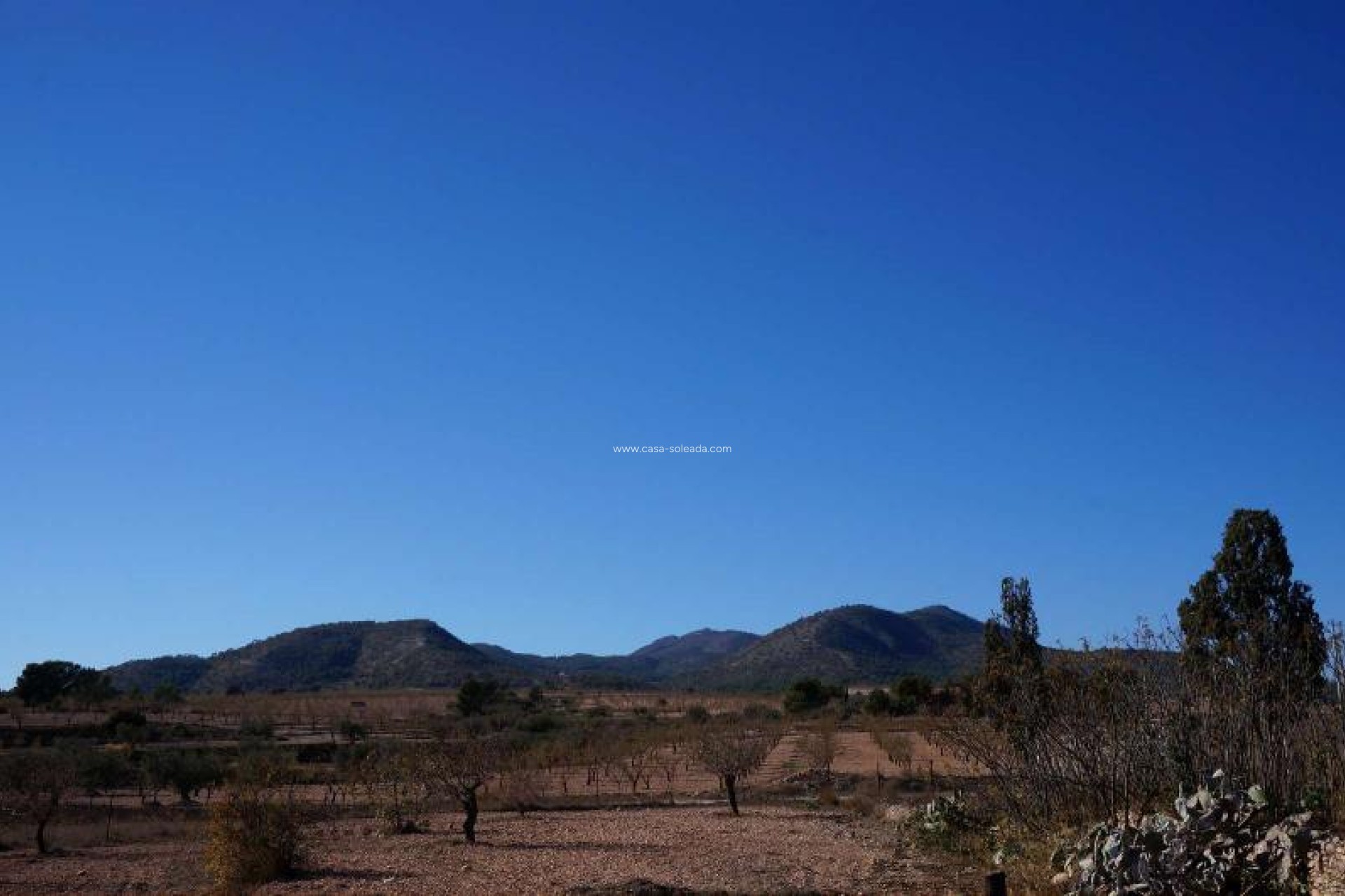 Wiederverkauf - Country Property/Finca - Jumilla - Inland