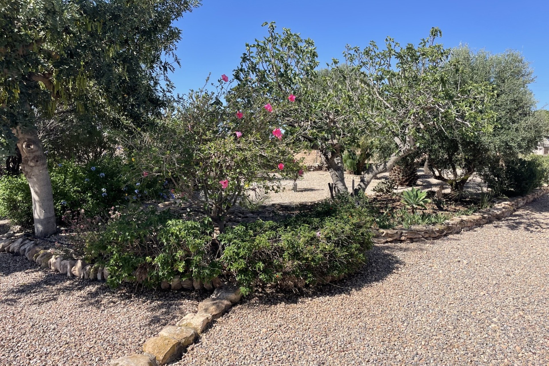 Wiederverkauf - Country Property/Finca - La Pinilla - Inland