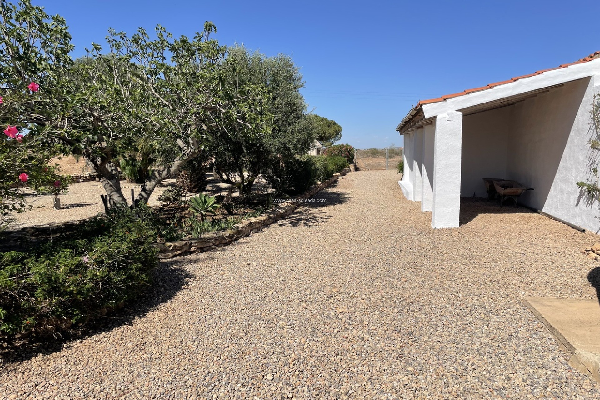 Wiederverkauf - Country Property/Finca - La Pinilla - Inland